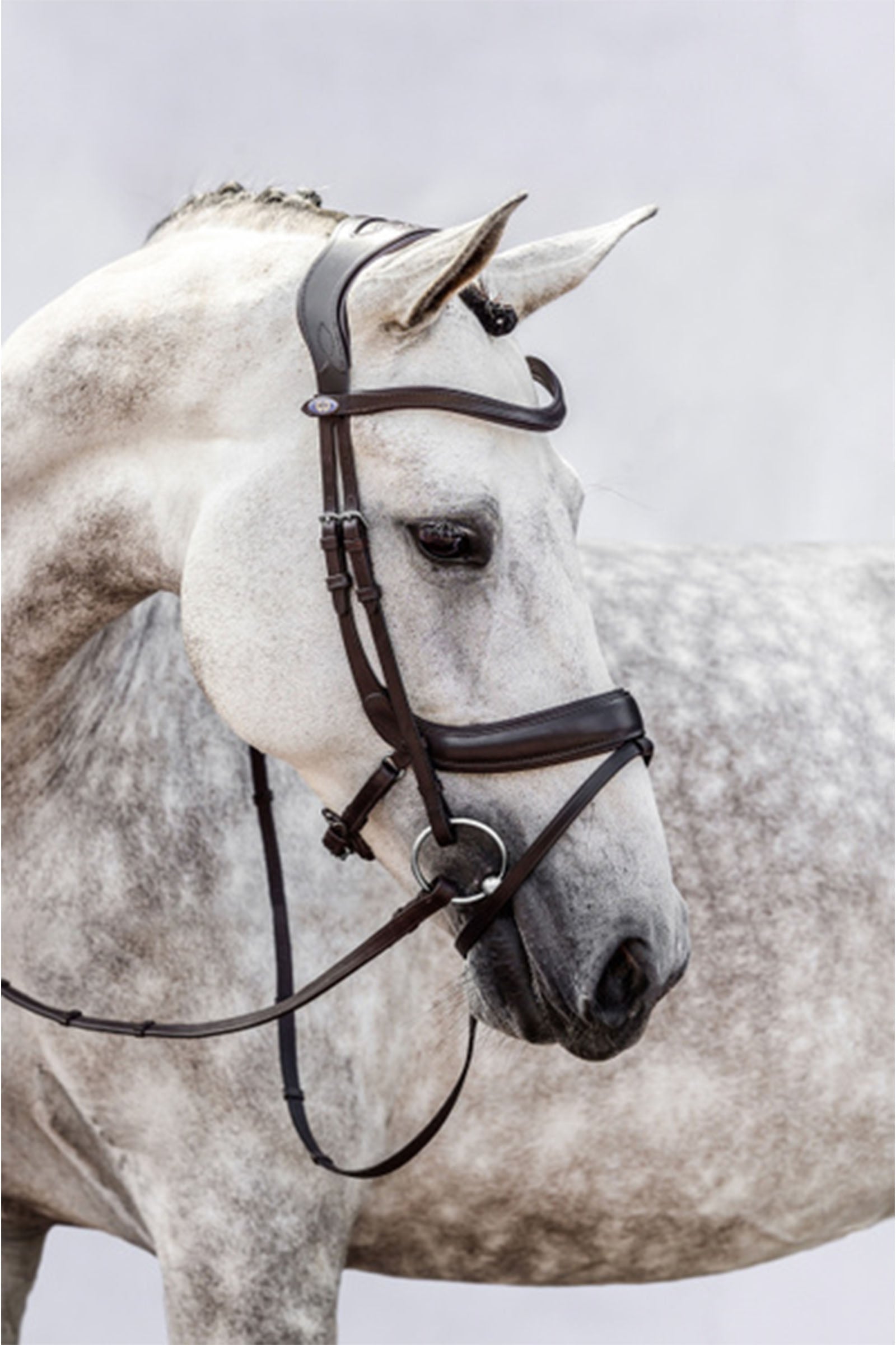PS of Sweden bridle Paladin Bridles & Reins