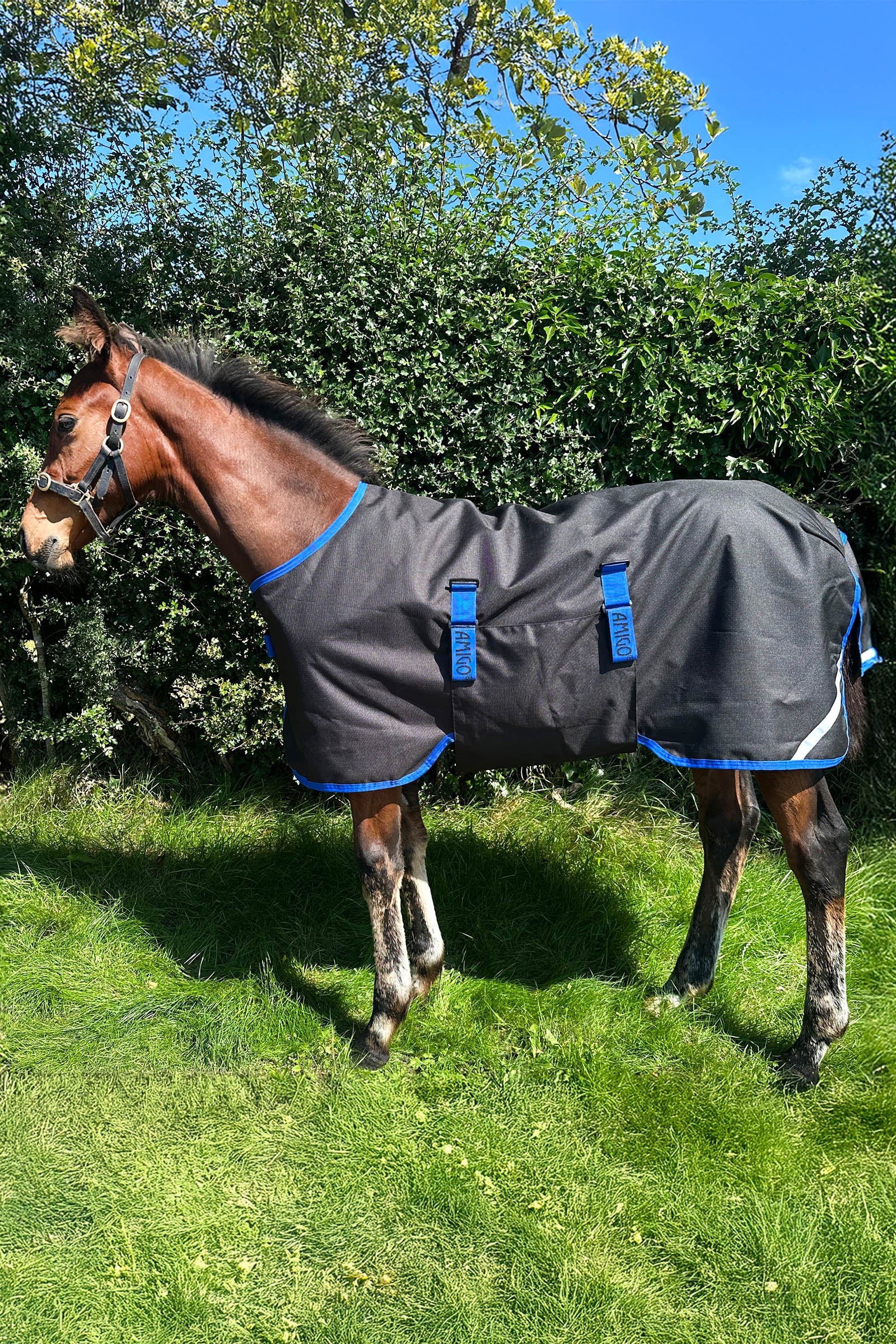 Horseware Amigo Ripstop 900D ulkoloimi varsalle 200g Loimet