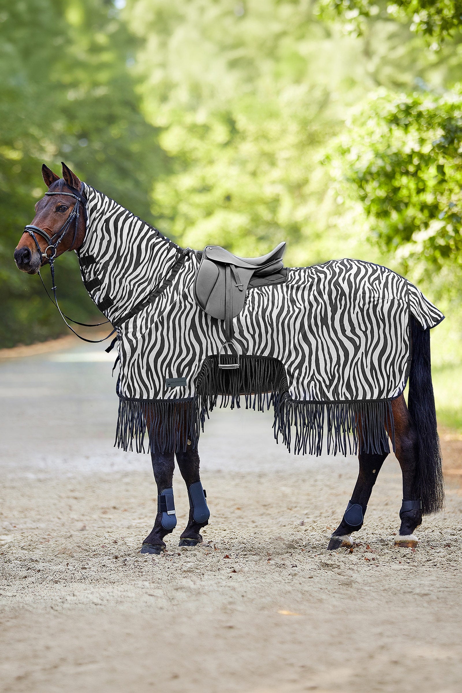 Waldhausen Zebra kärpäsloimi satulaleikkauksella ja hapsuilla, UV-suoja Loimet