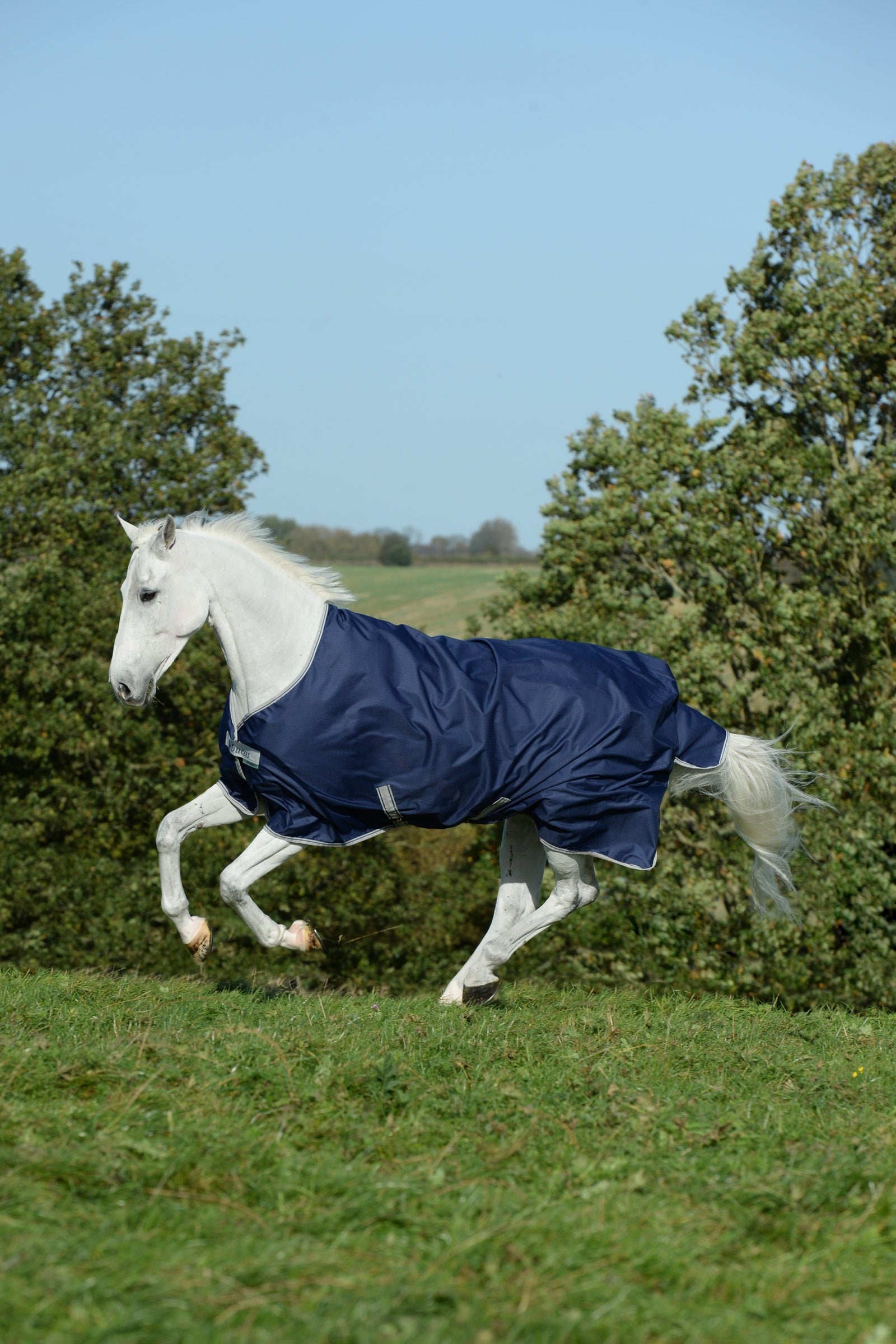 Bucas Freedom Turnout Rug, 150g Horse Rugs