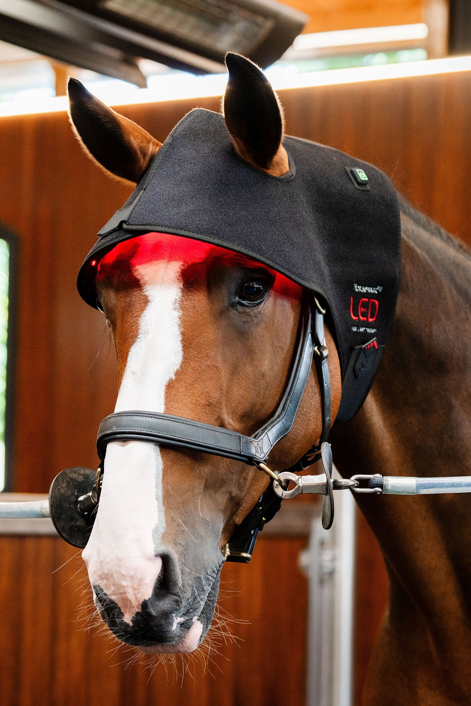 Horseware LED punavalohoitoinen niskahuppu Loimet