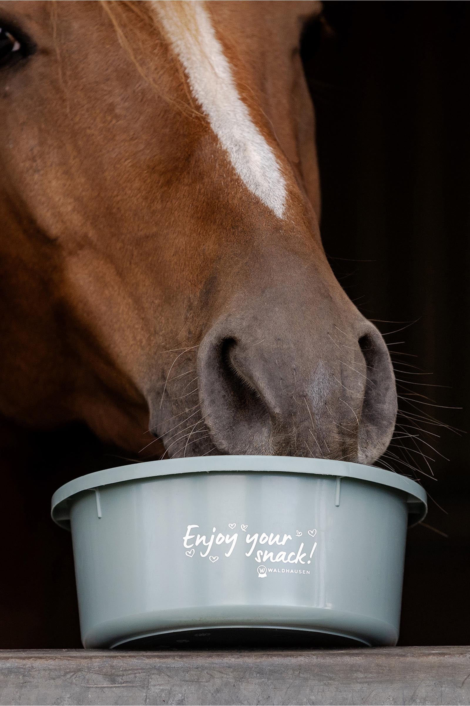 Waldhausen Small Feeding Bowl With Lid Horse Feeders & Waterers