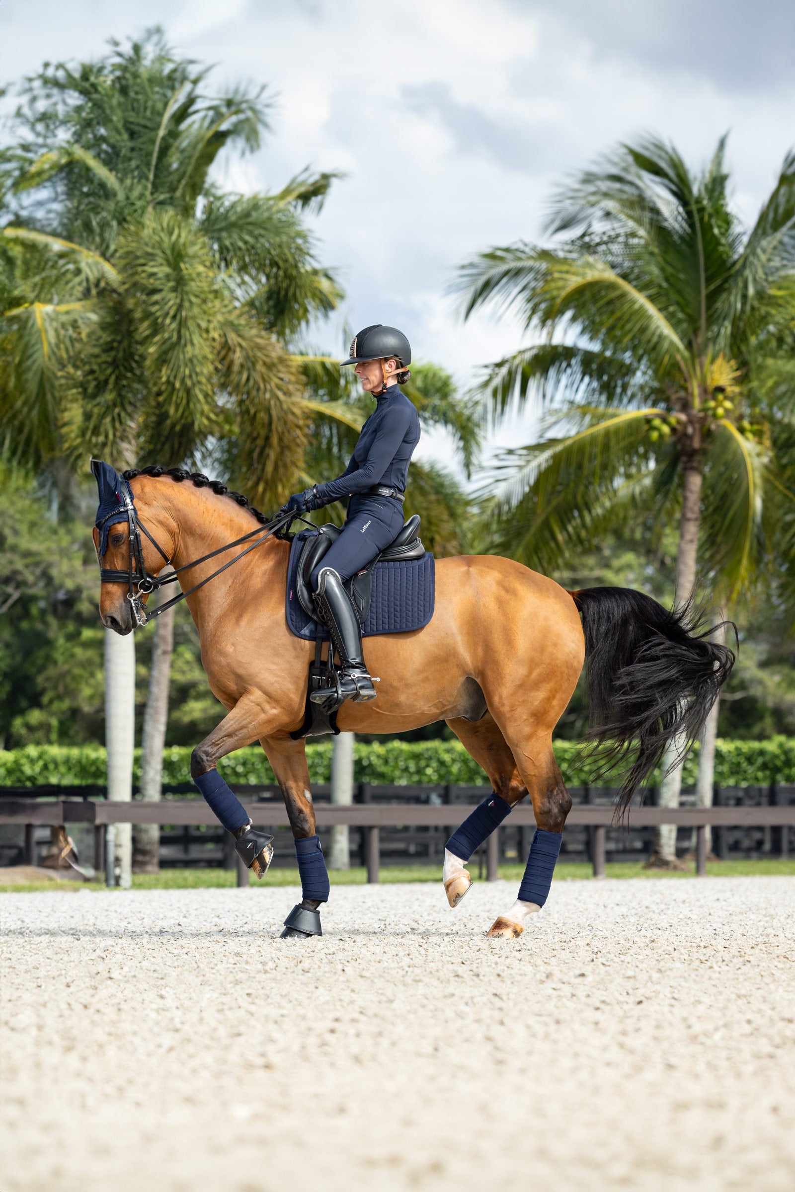 LeMieux Prosorb Plain 2 Pocket DR Square Saddle Pads