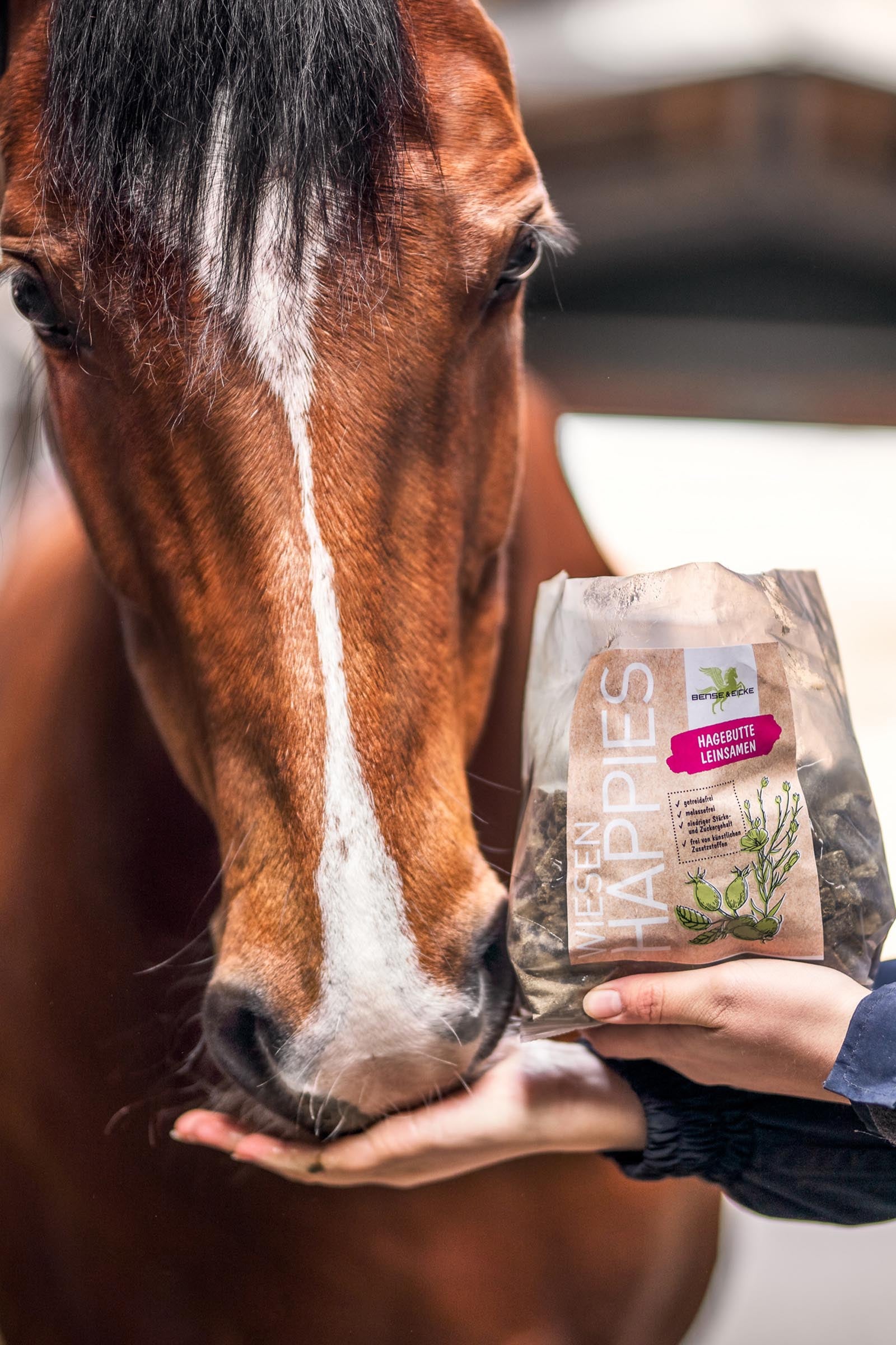 Bense & Eicke Meadows Happies Rosehip Flaxseed, 1kg Horse Feed & Nutrition