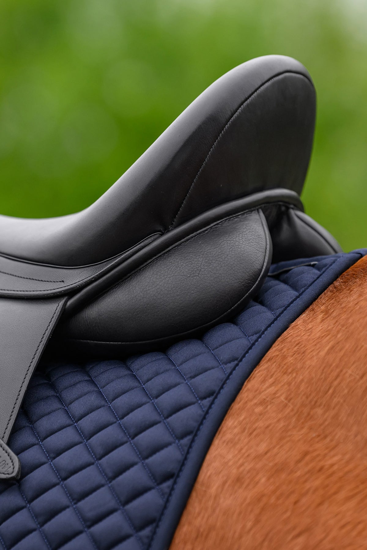 Waldhausen Felix Universal Dressage Saddle Pad Saddle Pads