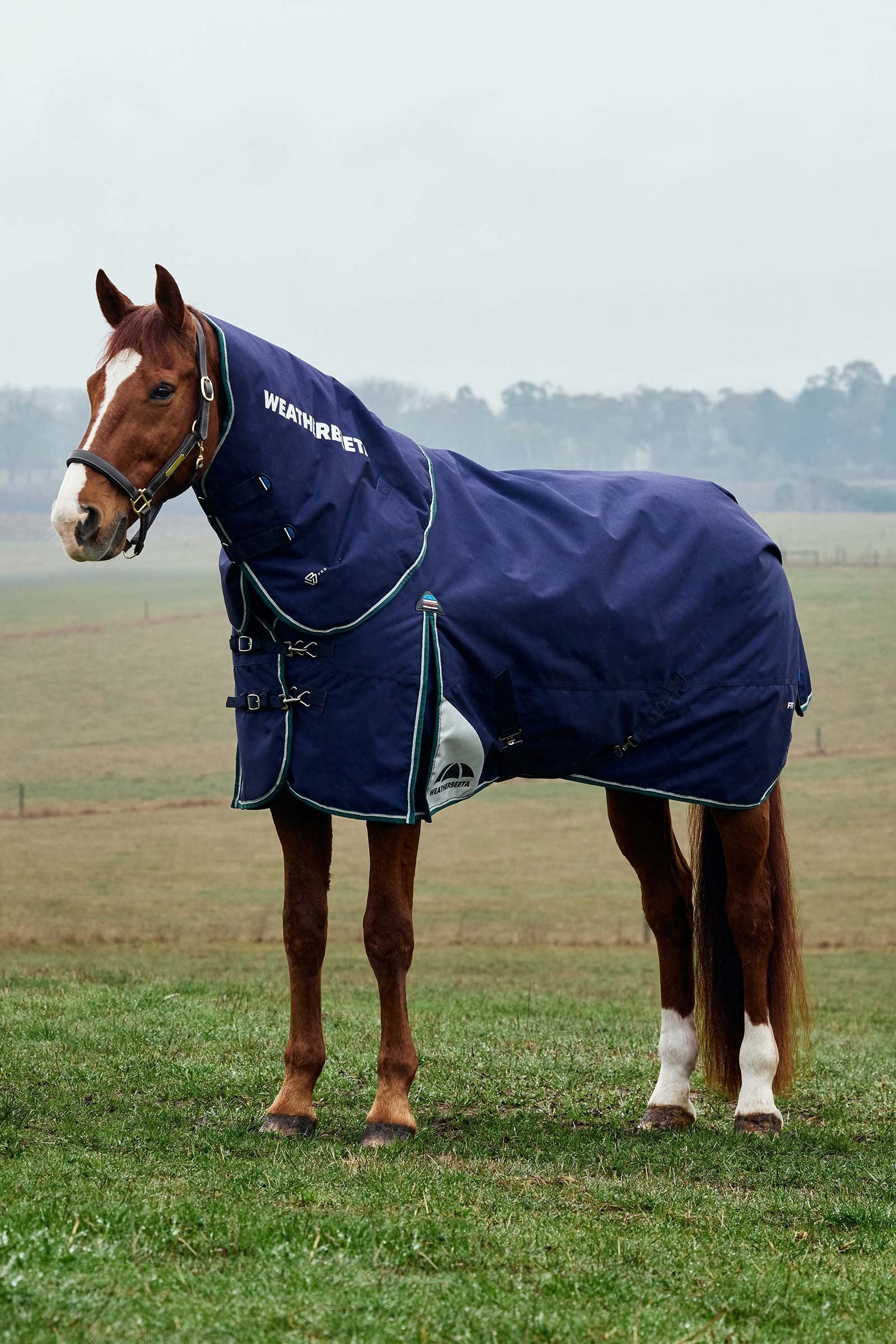 Weatherbeeta ComFiTecPlus Dynamic Turnout Detach-A-Neck 220G Loimet