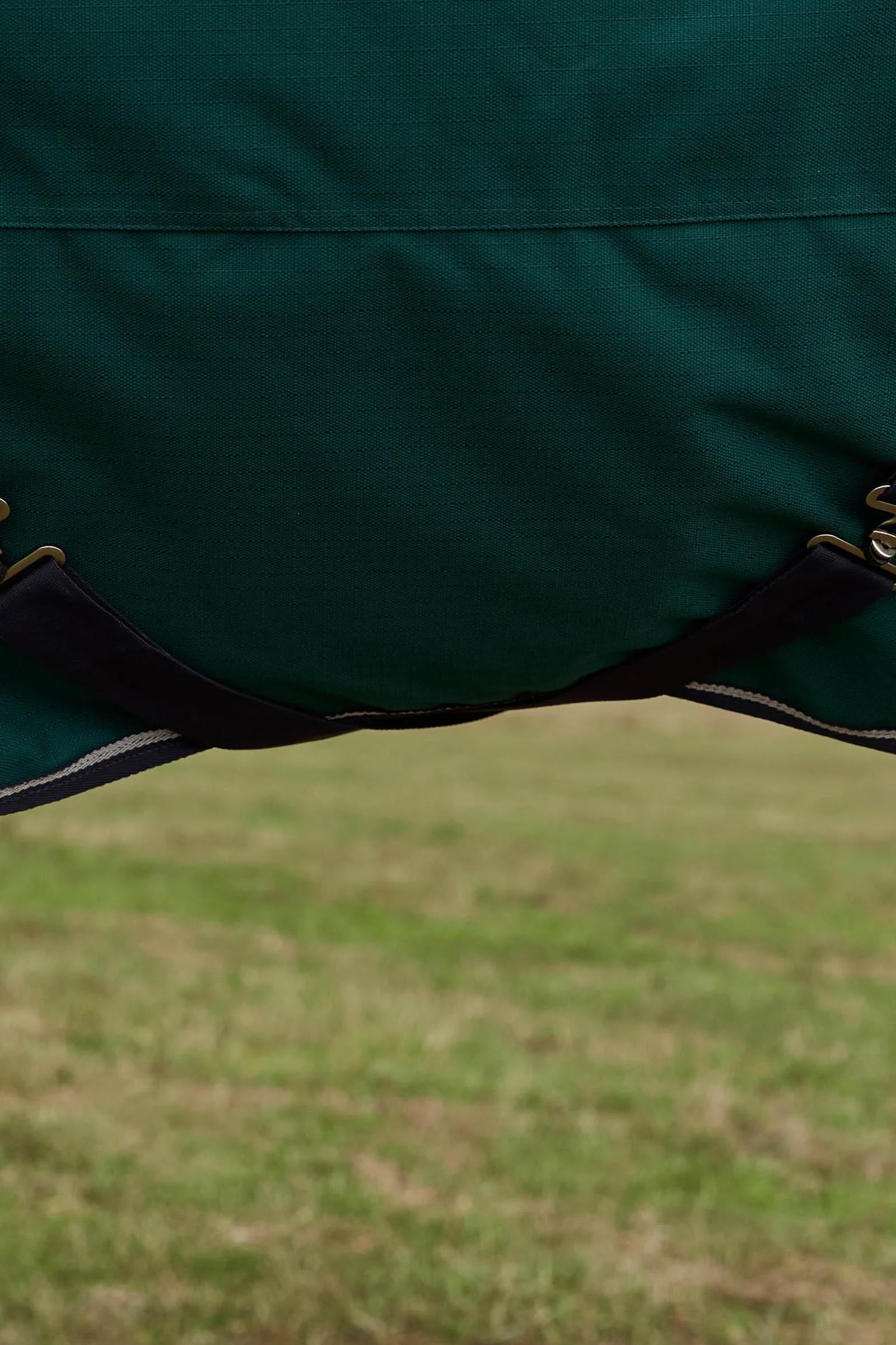 Weatherbeeta ComFiTecPlus Dynamic Turnout Detach-A-Neck 220G Horse Rugs