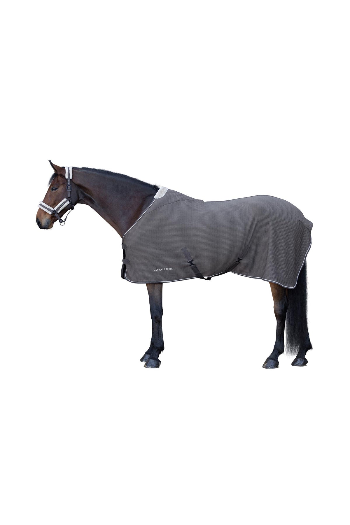 Covalliero FW26 Premium Cooler Rug Horse Rugs