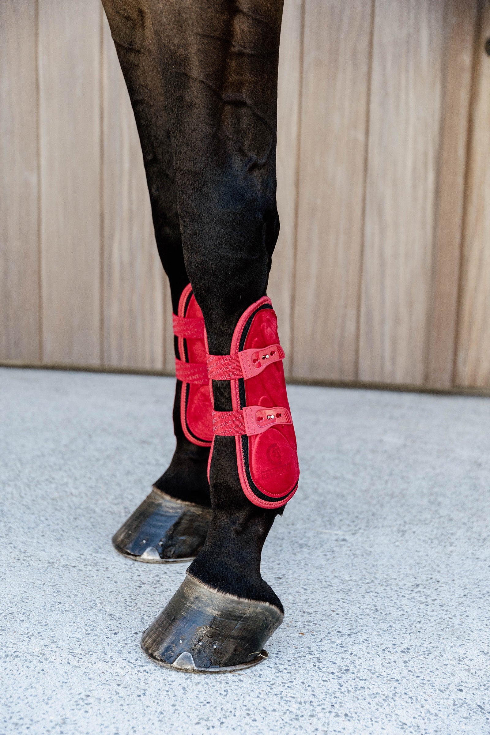 Kentucky Horsewear Bamboo Elastic Velvet Tendon Boots Leg Protection & Hoof Protection for Horses
