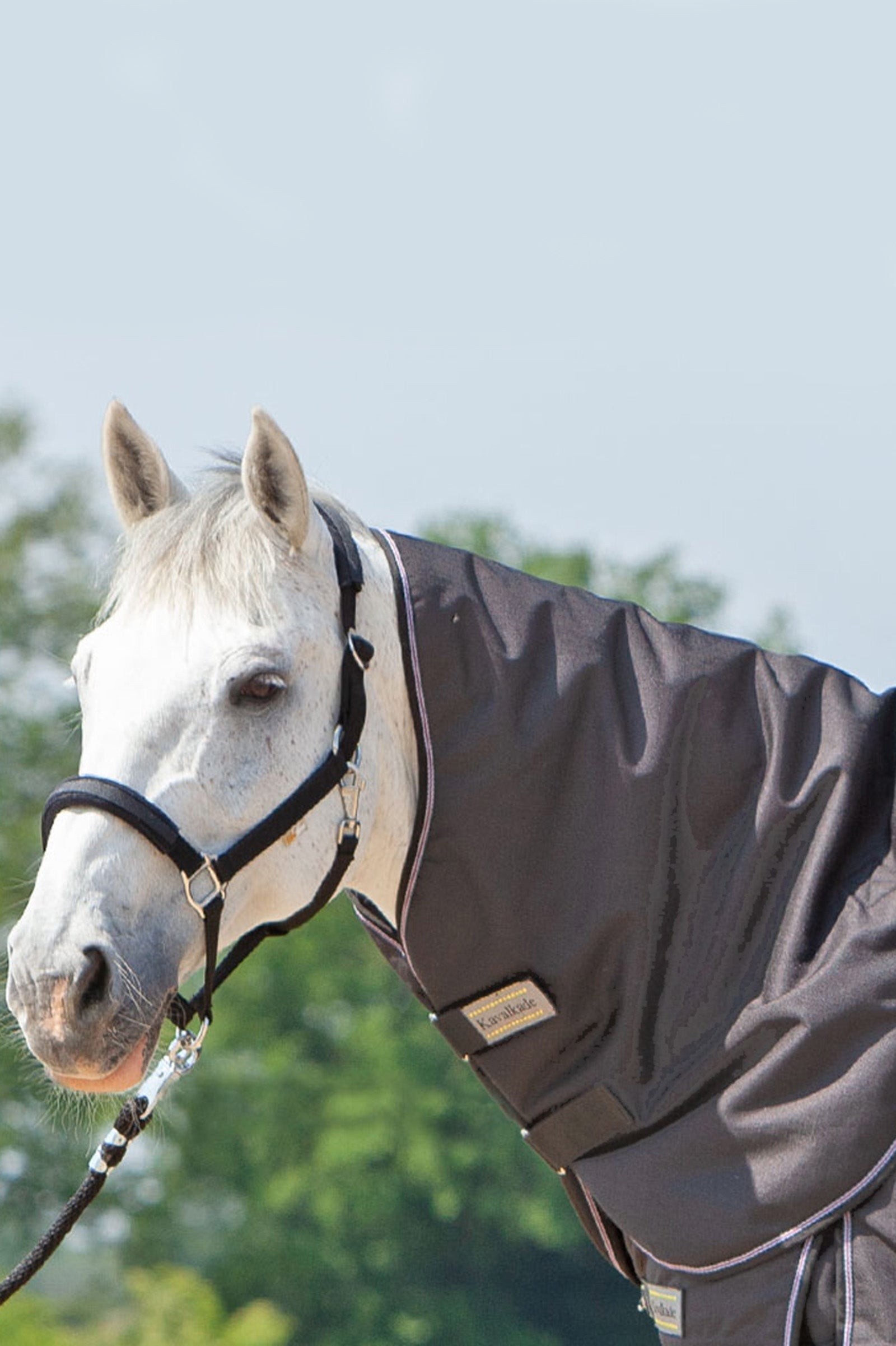 Kavalkade Neck for Alaska IV, 100 g Horse Rugs