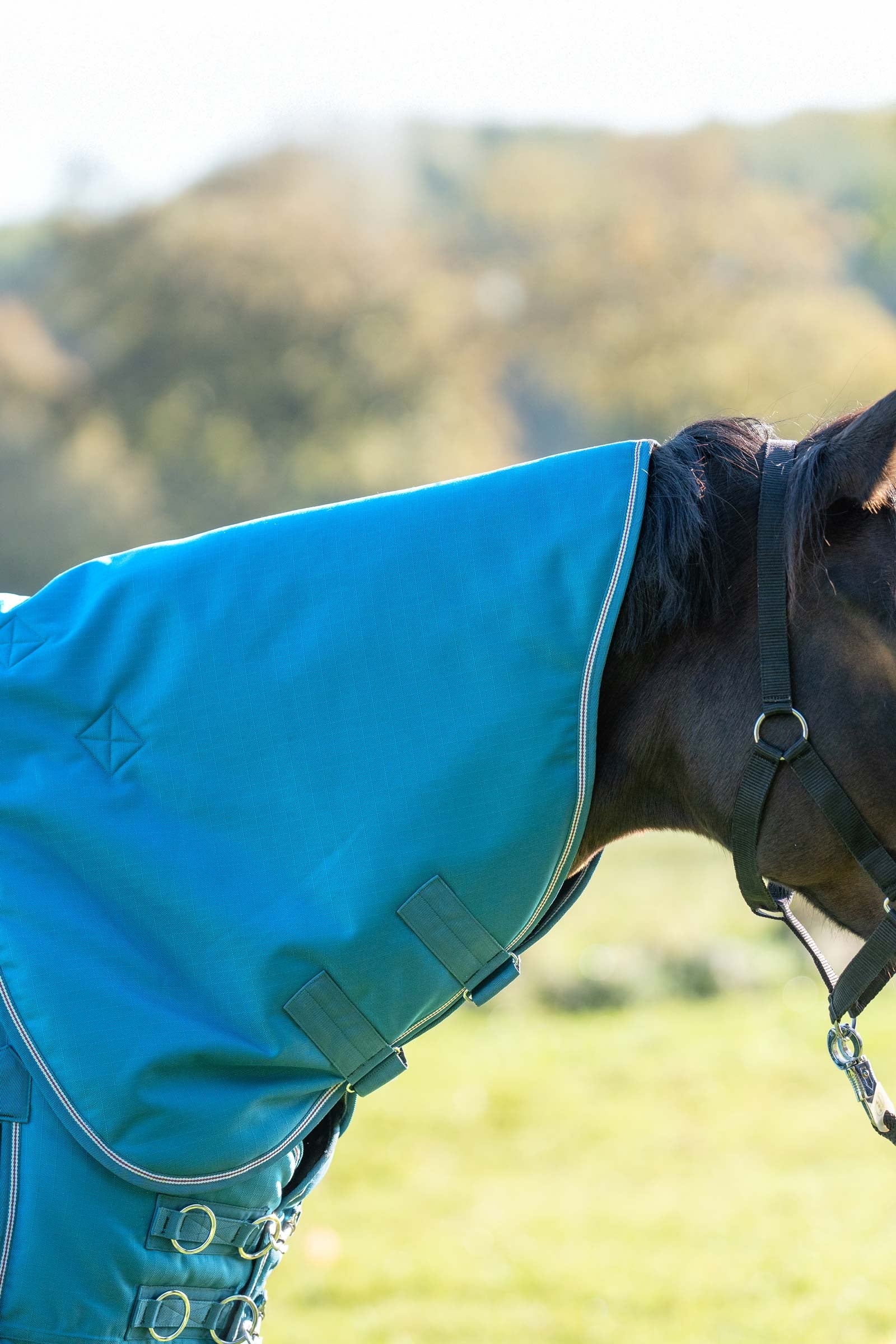 Kavalkade kaulakappale Alaska IV loimeen, 100 g Loimet