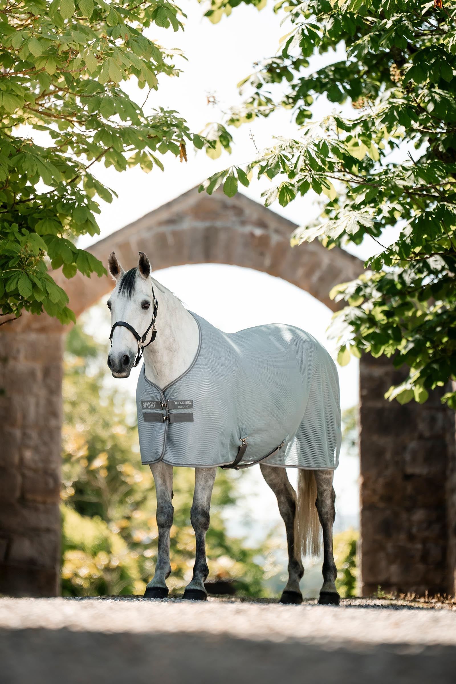 Horseware Amigo AirNet Cooler Loimet