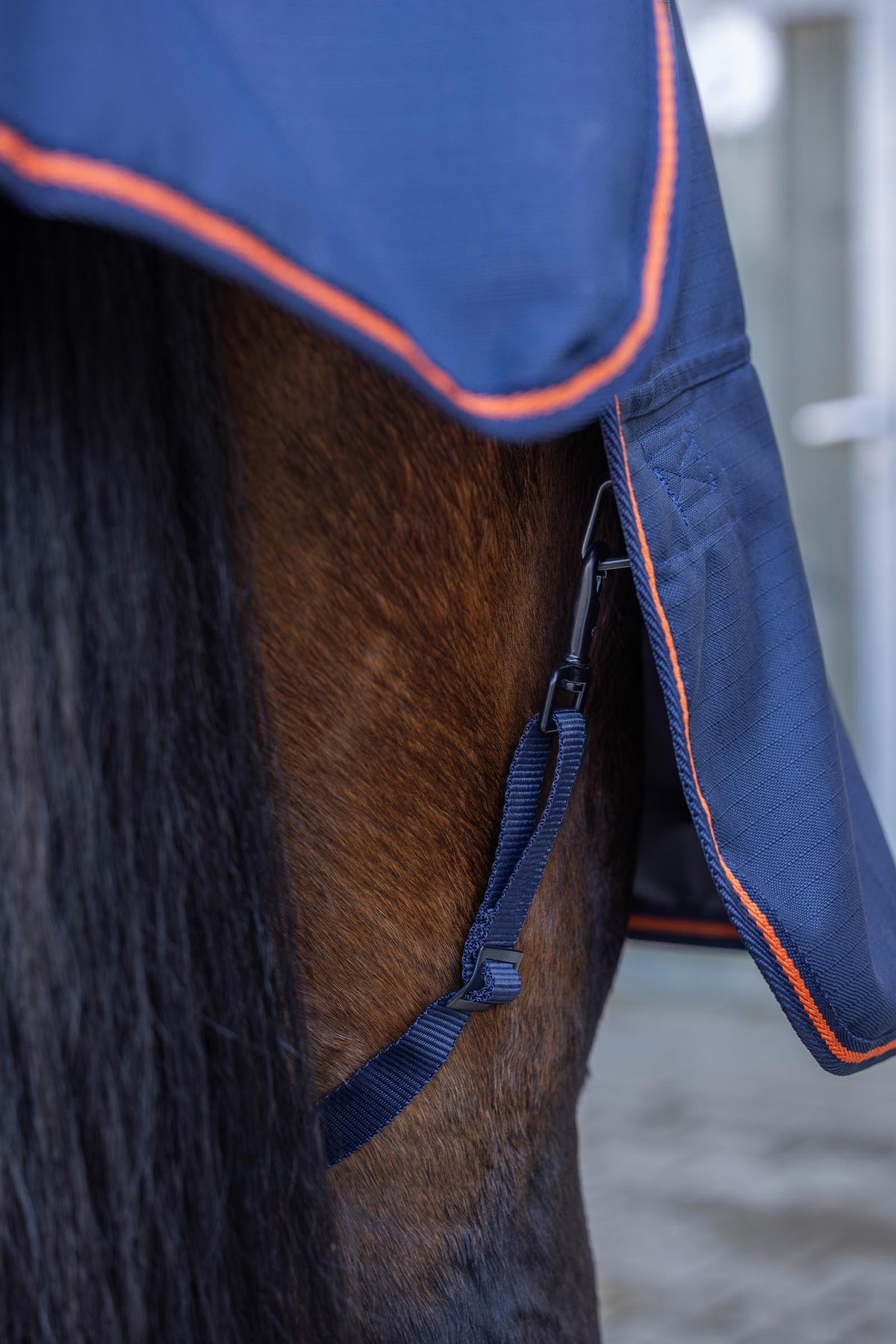 Covalliero FW26 Outdoor Horse Rug 300g Horse Rugs