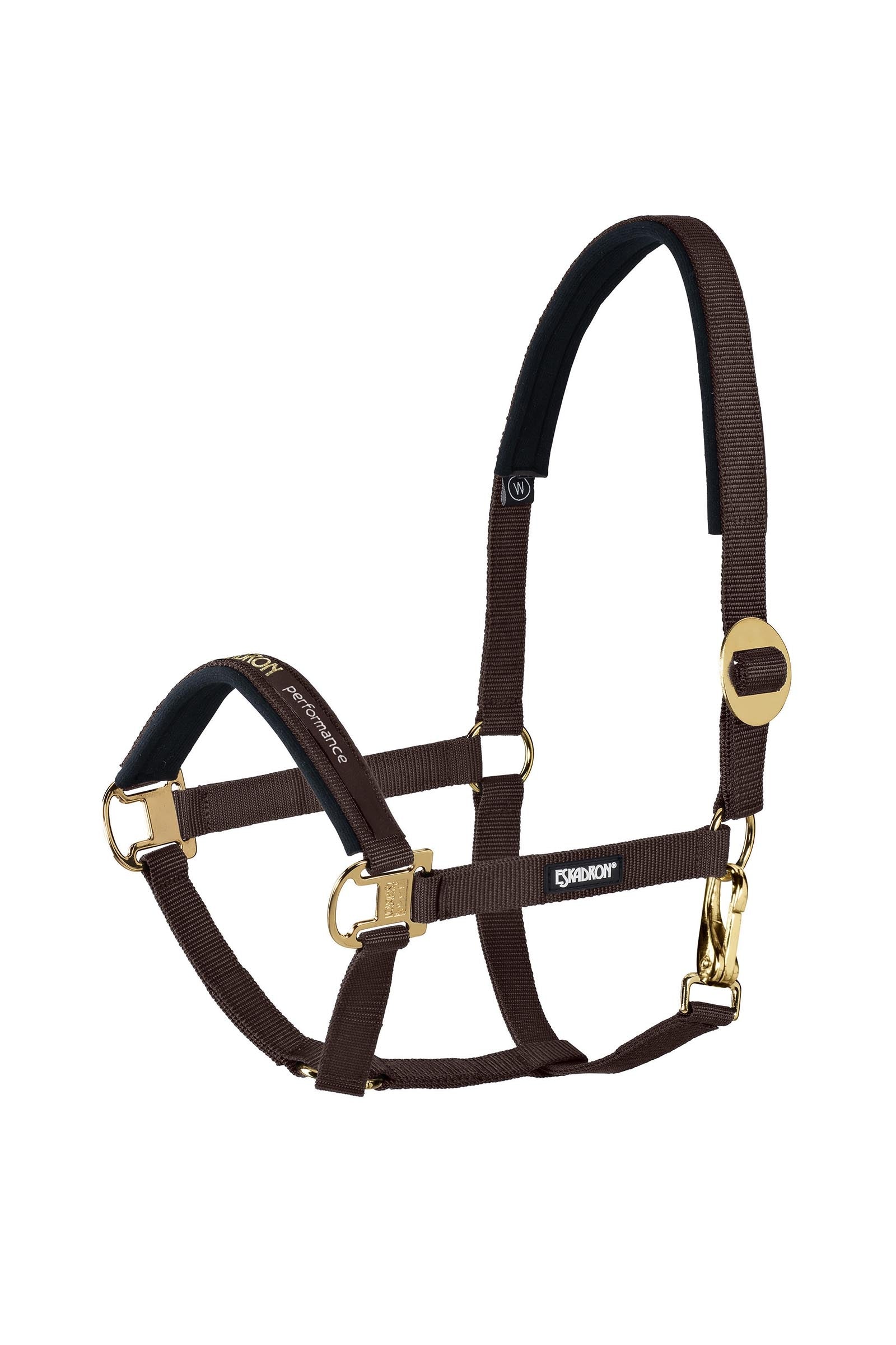 Eskadron Halter sliding Buckle Riimut & riimunnarut