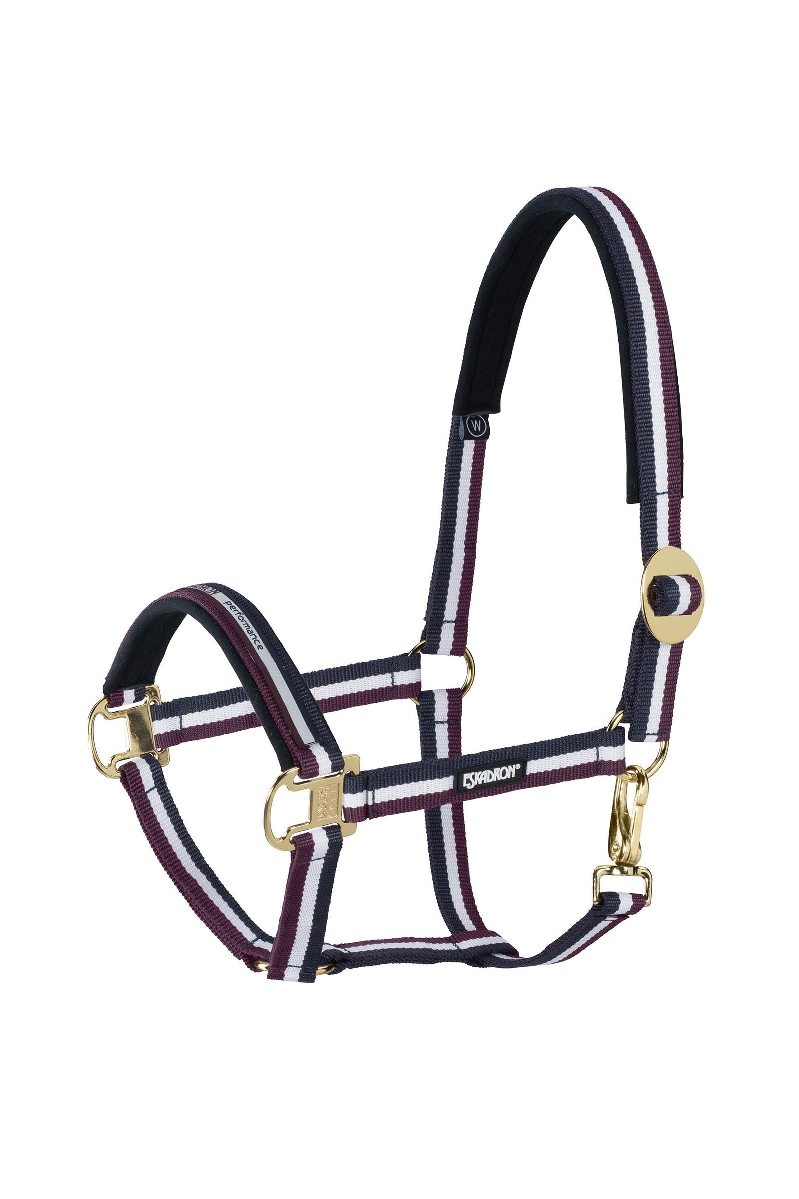 Eskadron Halter sliding Buckle Riimut & riimunnarut