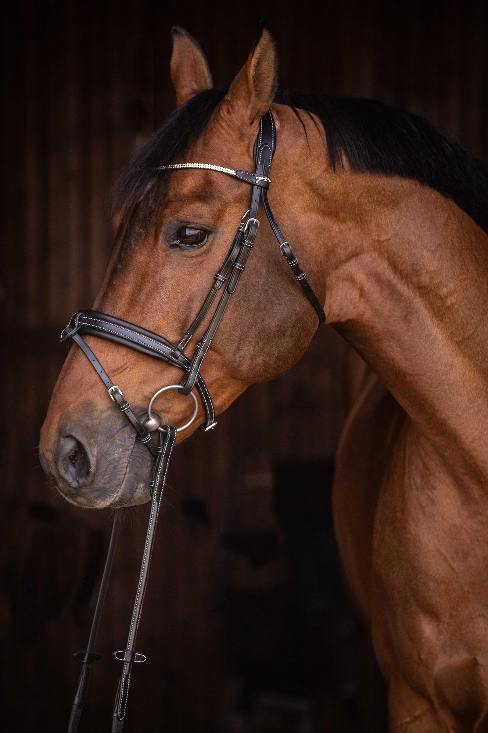 PENELOPE Daily Strass Bridle Bridles & Reins