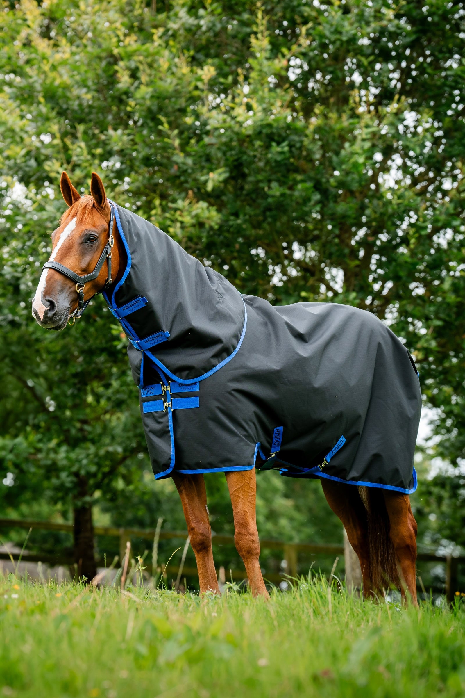 Horseware Amigo Ripstop 900D Plus ulkoloimi, 0 g Loimet