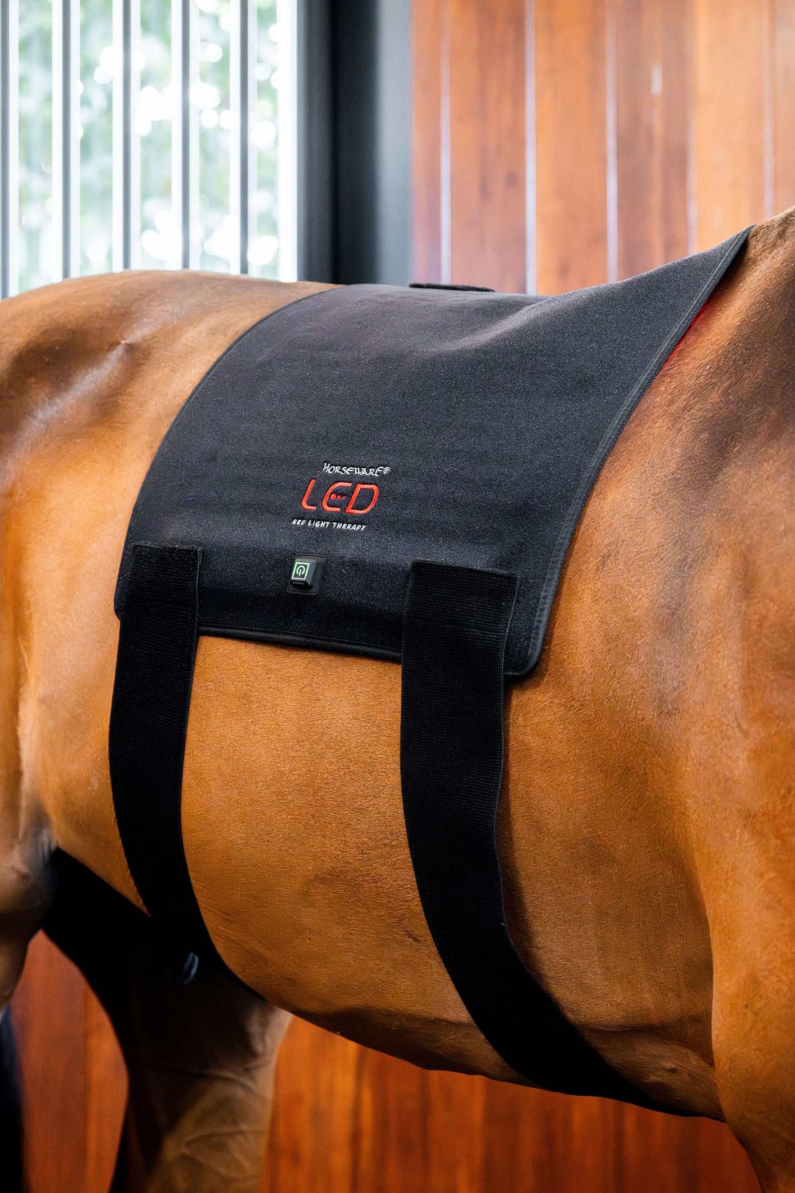 Horseware LED punavalohoitoinen Pad Loimet