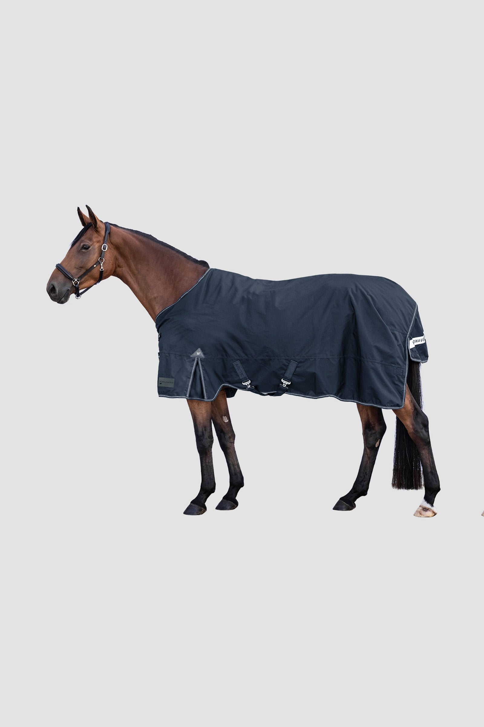 Waldhausen Outdoor Rug Arctic 300 g Loimet