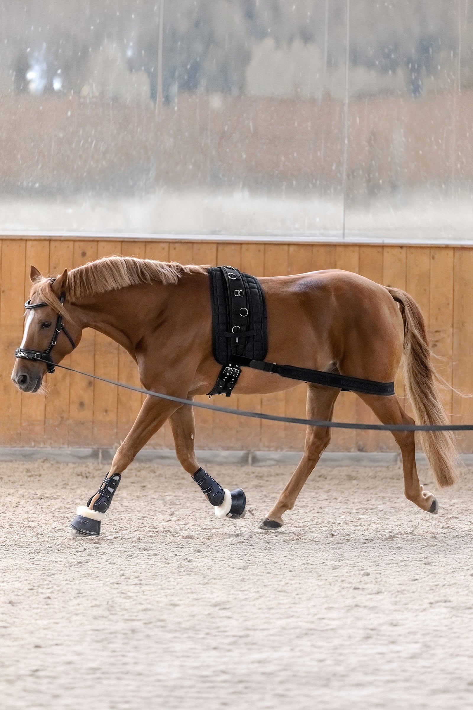 Waldhausen body side aktivointiside Leg & Hoof Protection