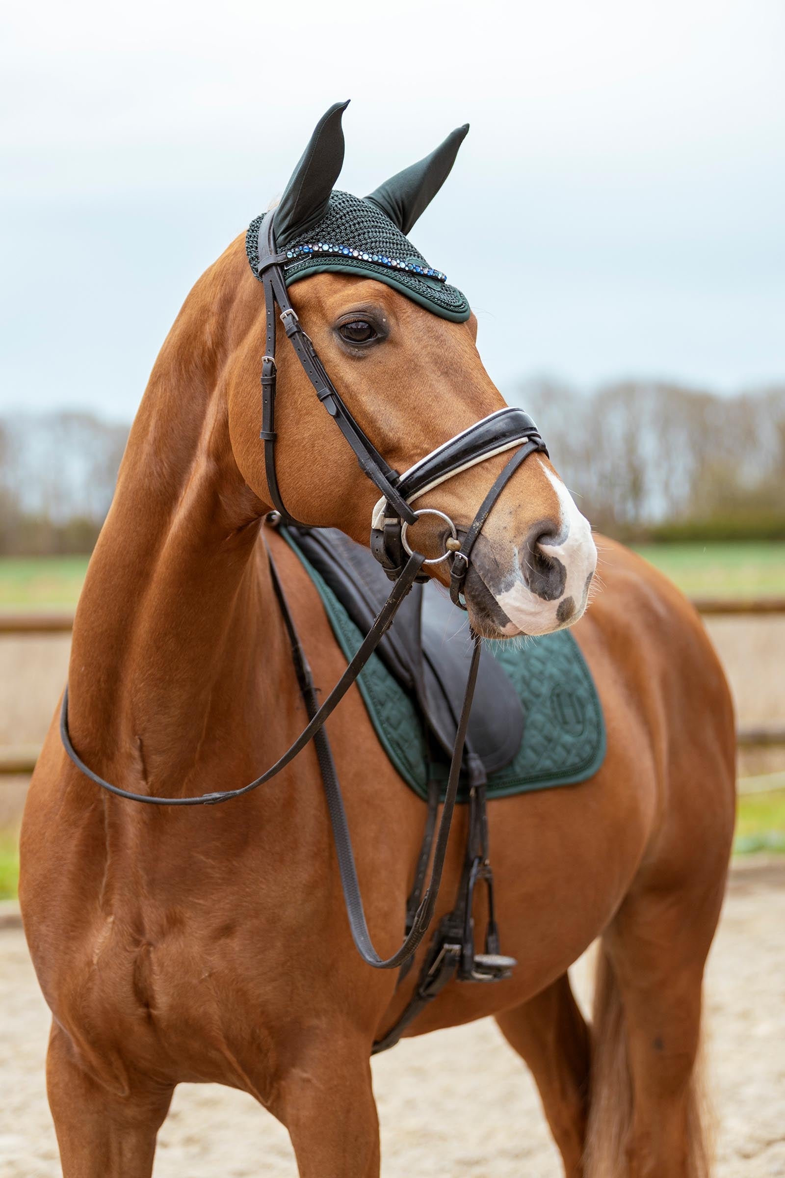 Harcour Saphir Saddle Pad Pony Pony & Shetland Tac