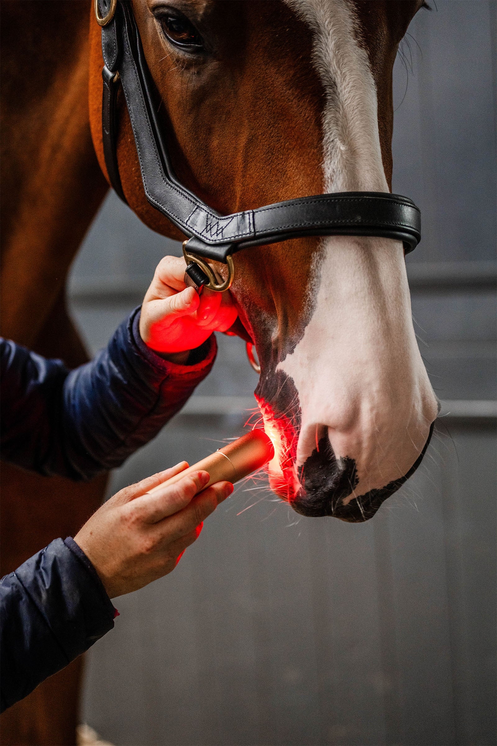 Horseware LED Red Light Therapy Wand Horse Rugs