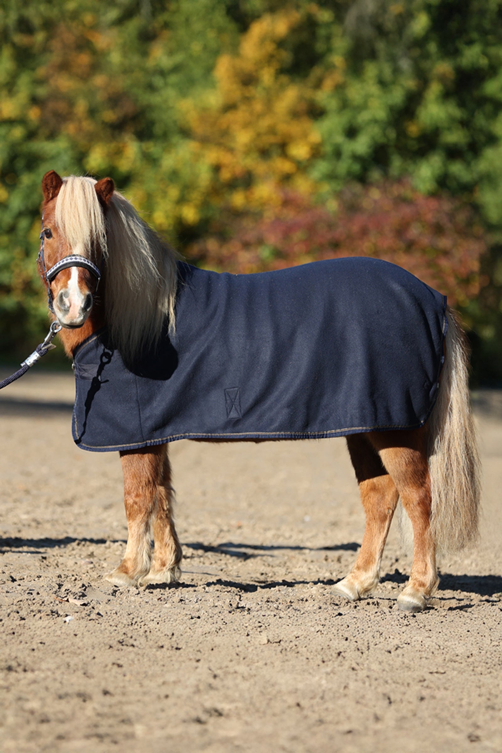 Kavalkade Ecoline Shetty Fleece Cooler Horse Rugs