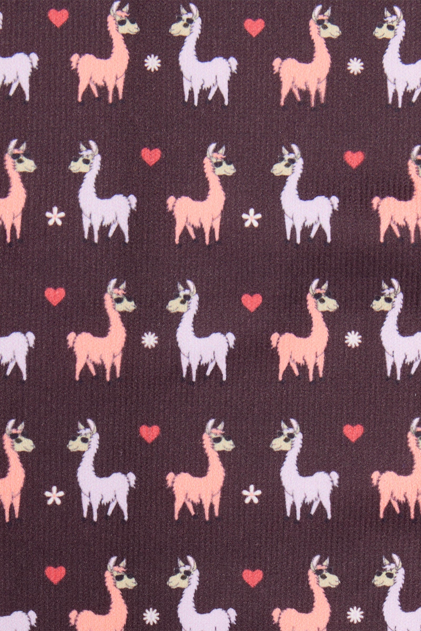 LeMieux Llamas Footsie Socks Socks