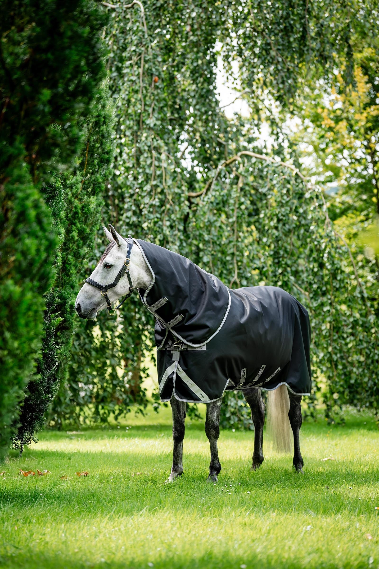 Horseware Amigo Bravo 12 Plus 100g Loimet