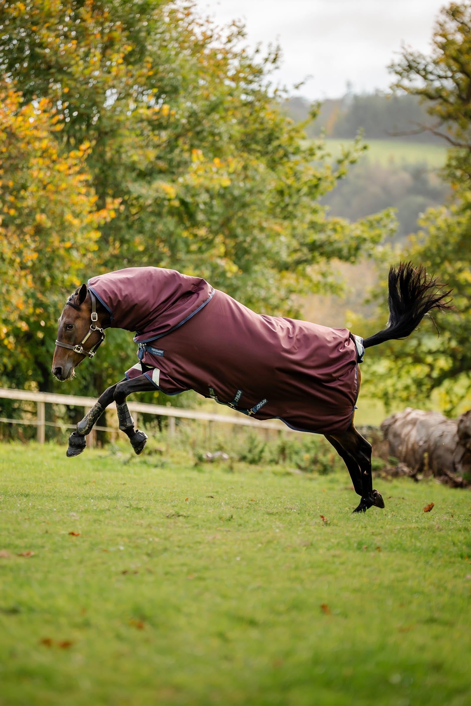 Horseware Amigo Bravo 12 Plus 100g Horse Rugs