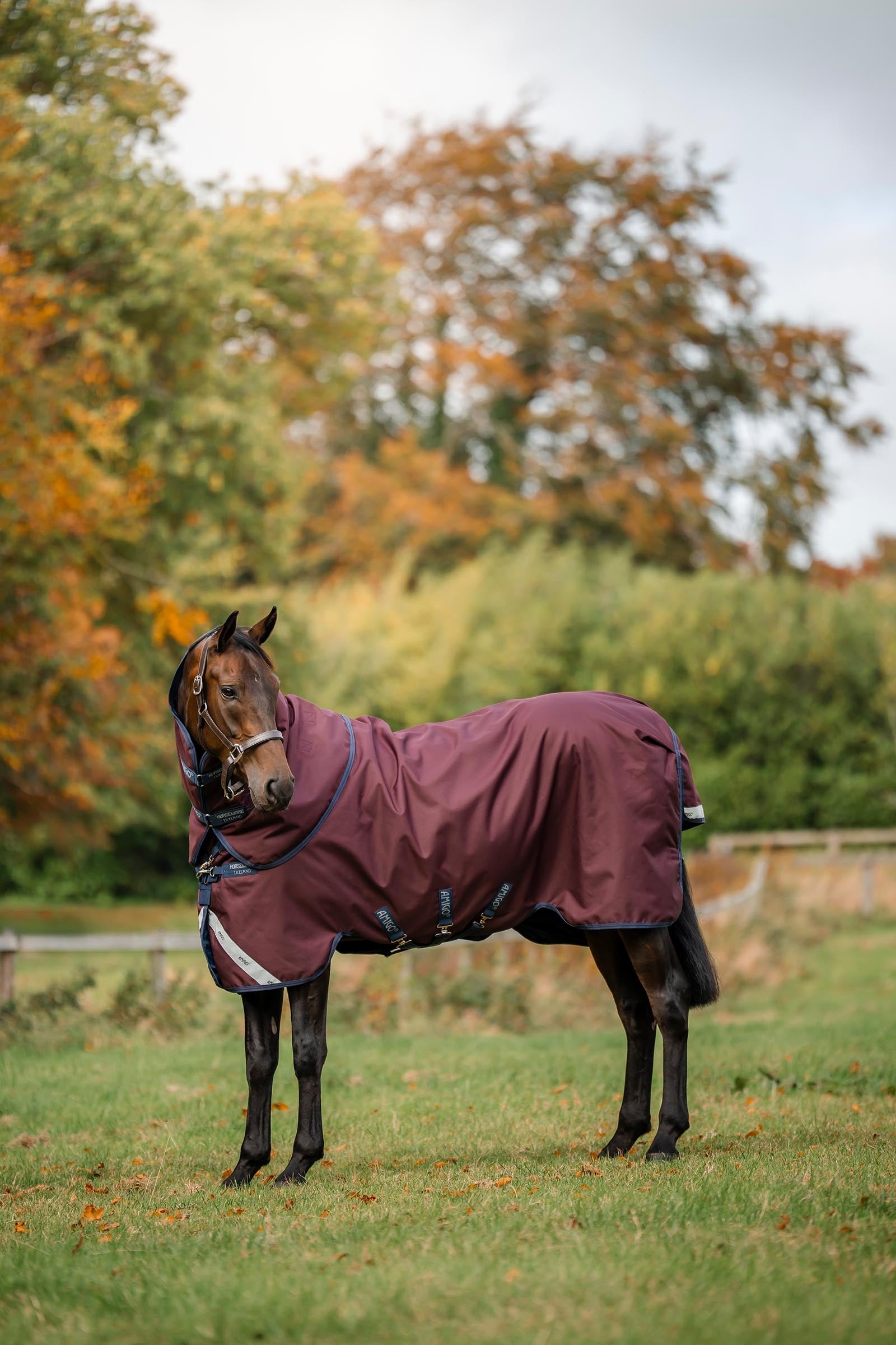 Horseware Amigo Bravo 12 Plus 100g Horse Rugs