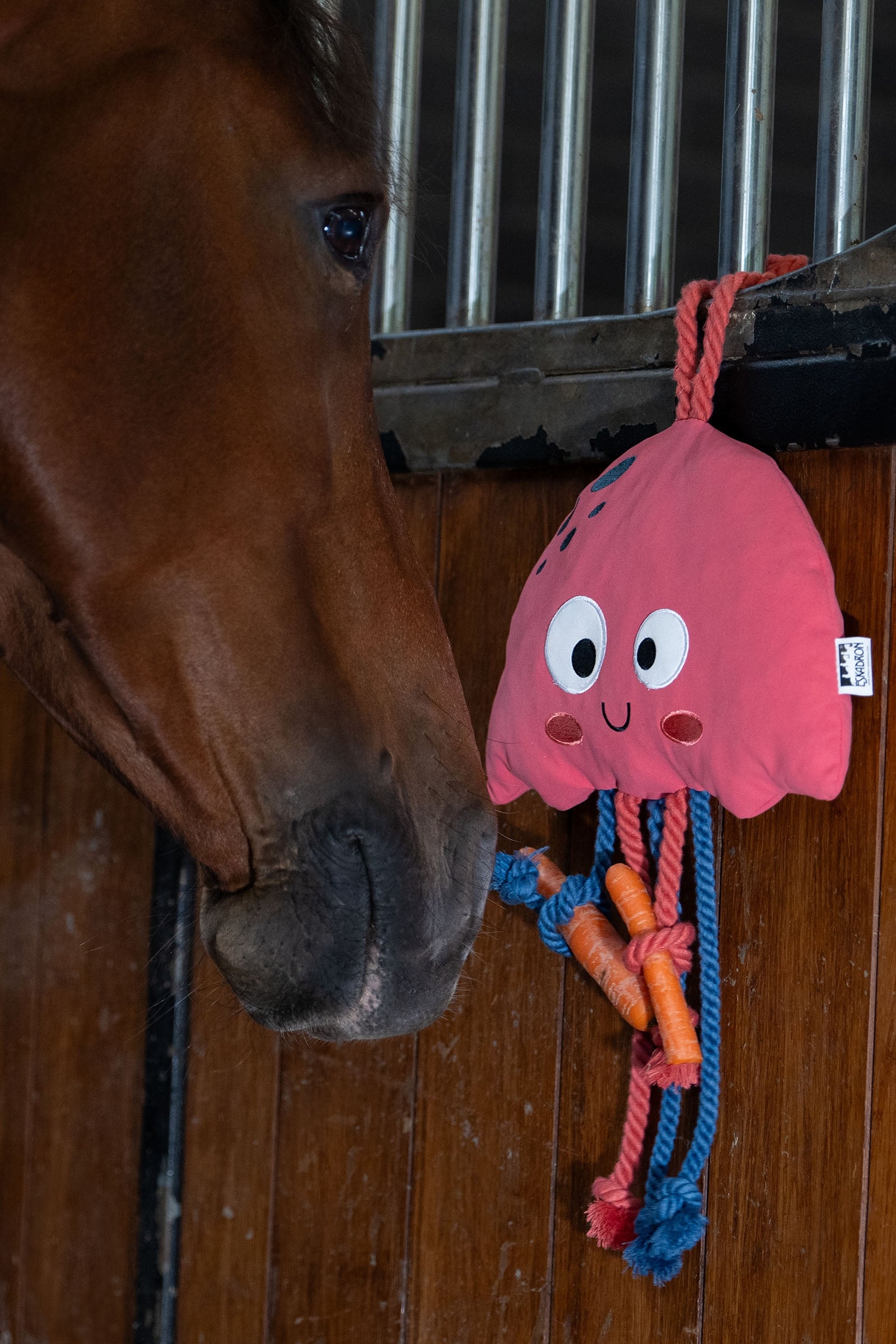Eskadron Classic Sports SS25 Jellyfish Horse Toy Horse Toys & Riding Arena Supplies
