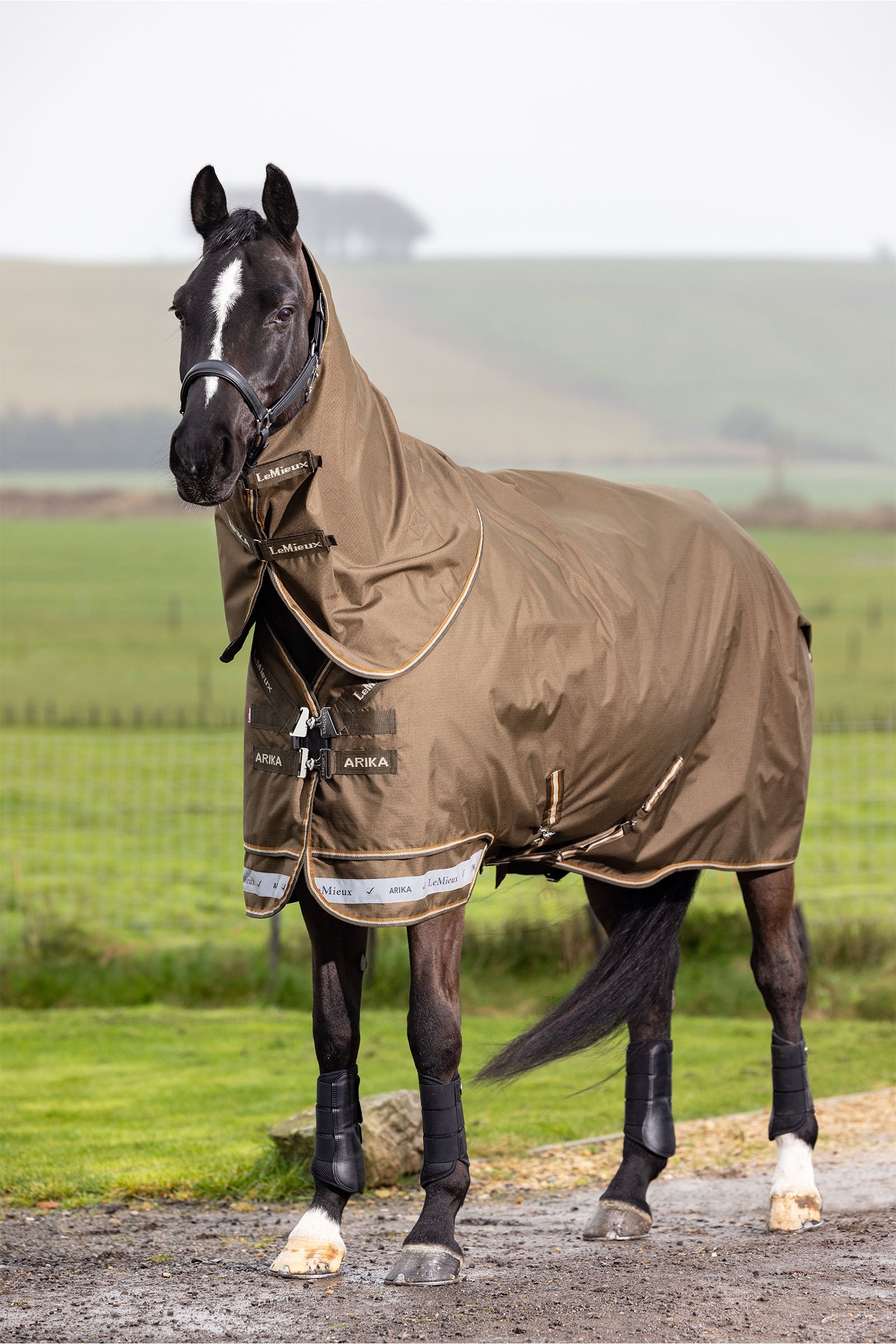 LeMieux Arika Ripstop Turnout Rug 50g Horse Rugs