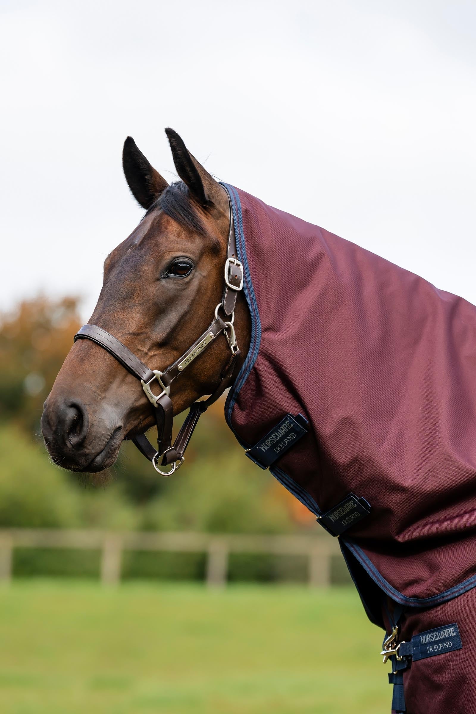 Horseware Amigo Bravo 12 Hood 150g Horse Rugs