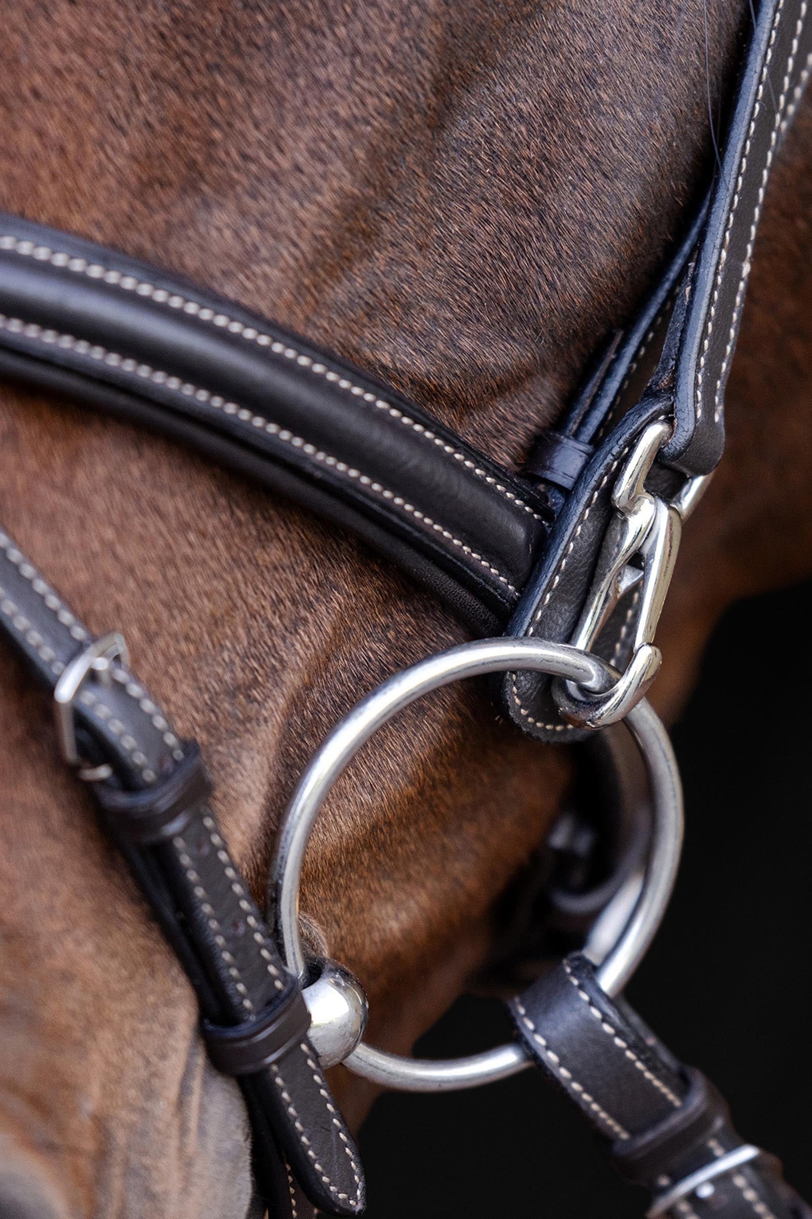 Waldhausen Work X-Line Snaffle Bridle Bridles & Reins
