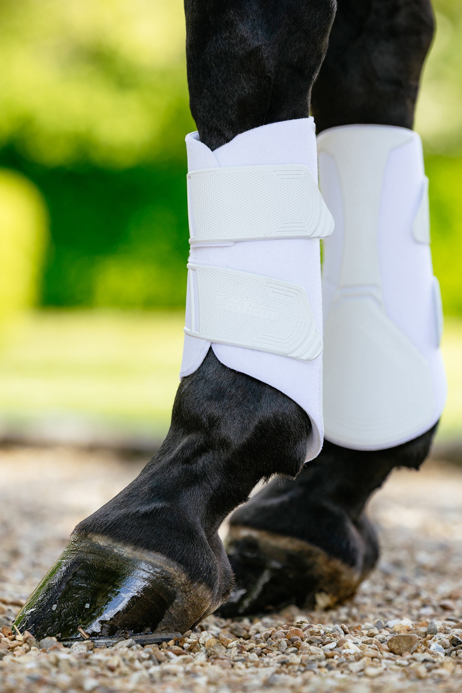 LeMieux Technical hivutussuojat Leg Protection & Hoof Protection for Horses
