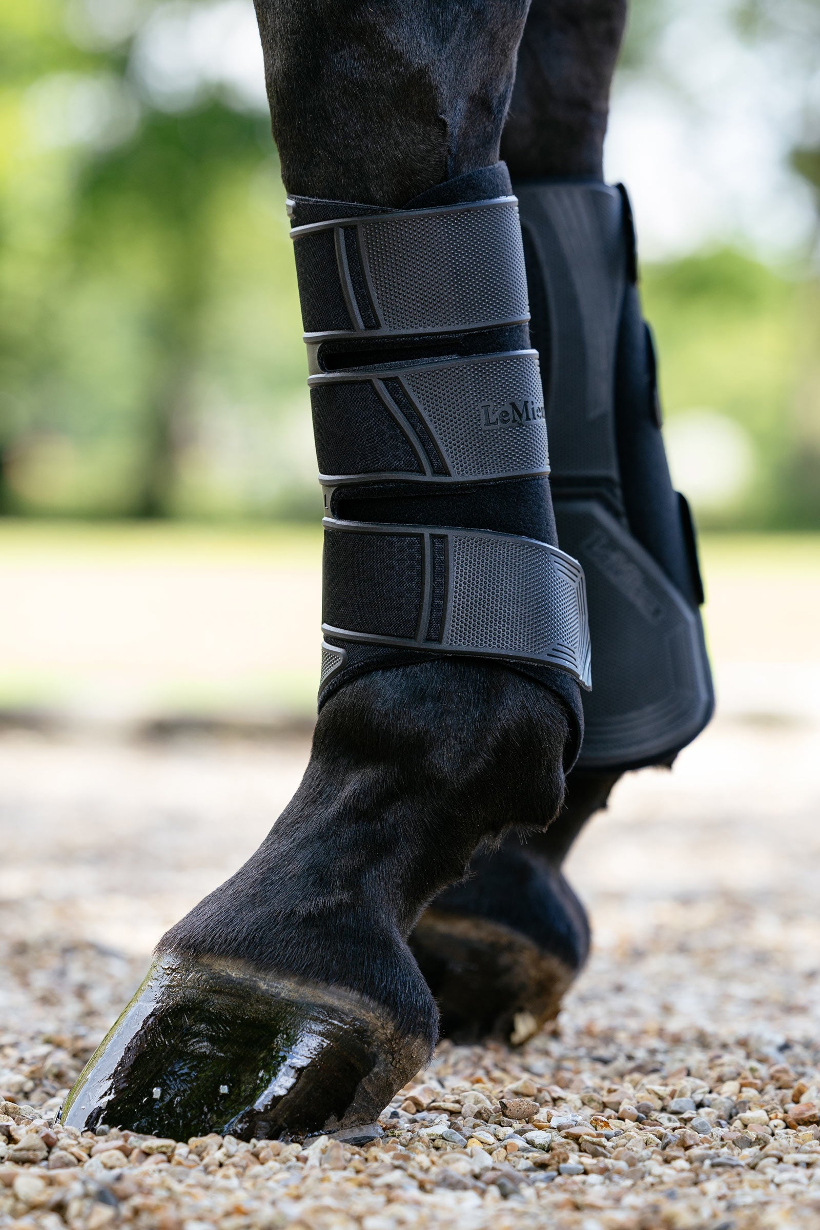 LeMieux Technical Brushing Boots Leg Protection & Hoof Protection for Horses
