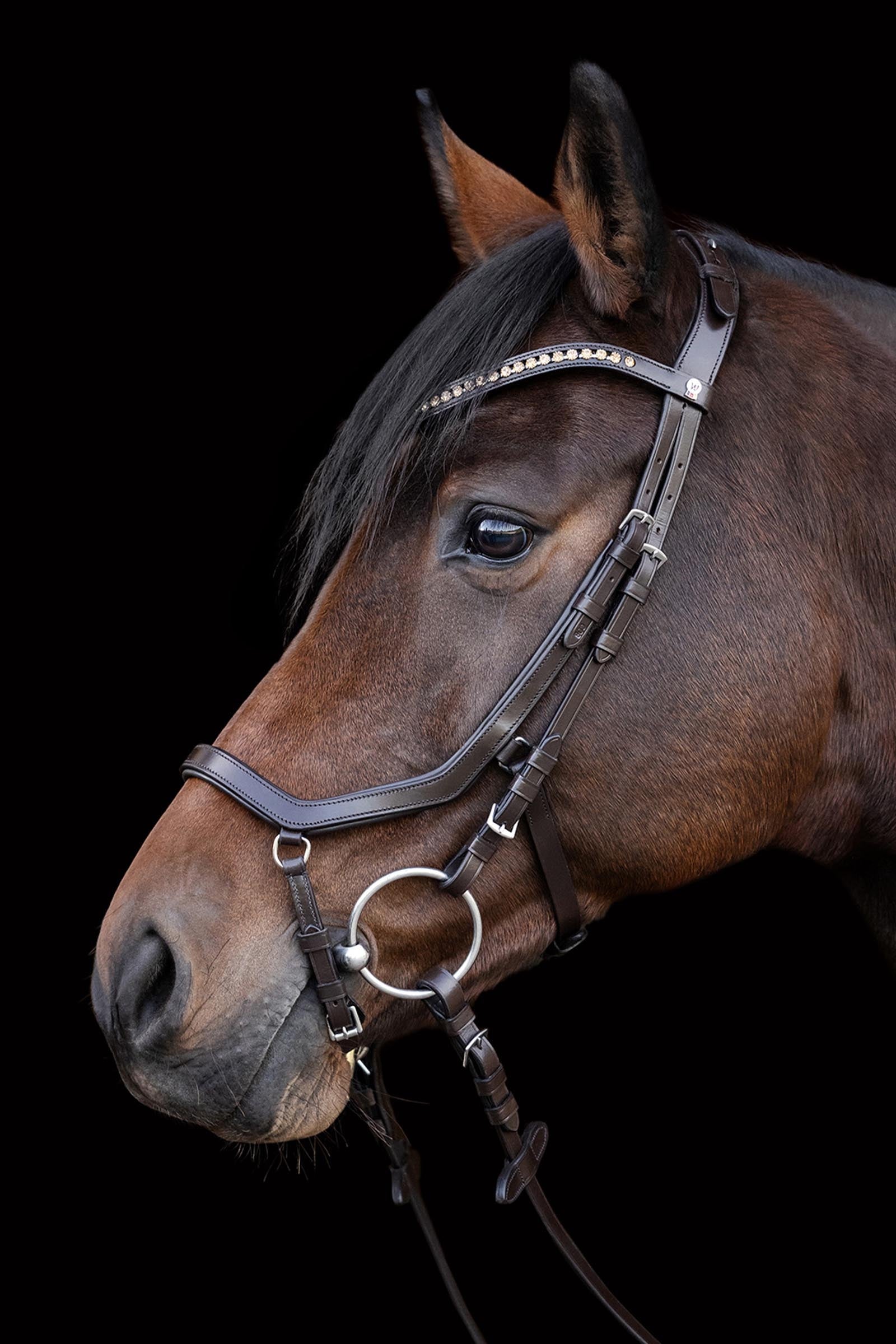 Waldhausen X-Line Relaxation Bridle Bridles & Reins