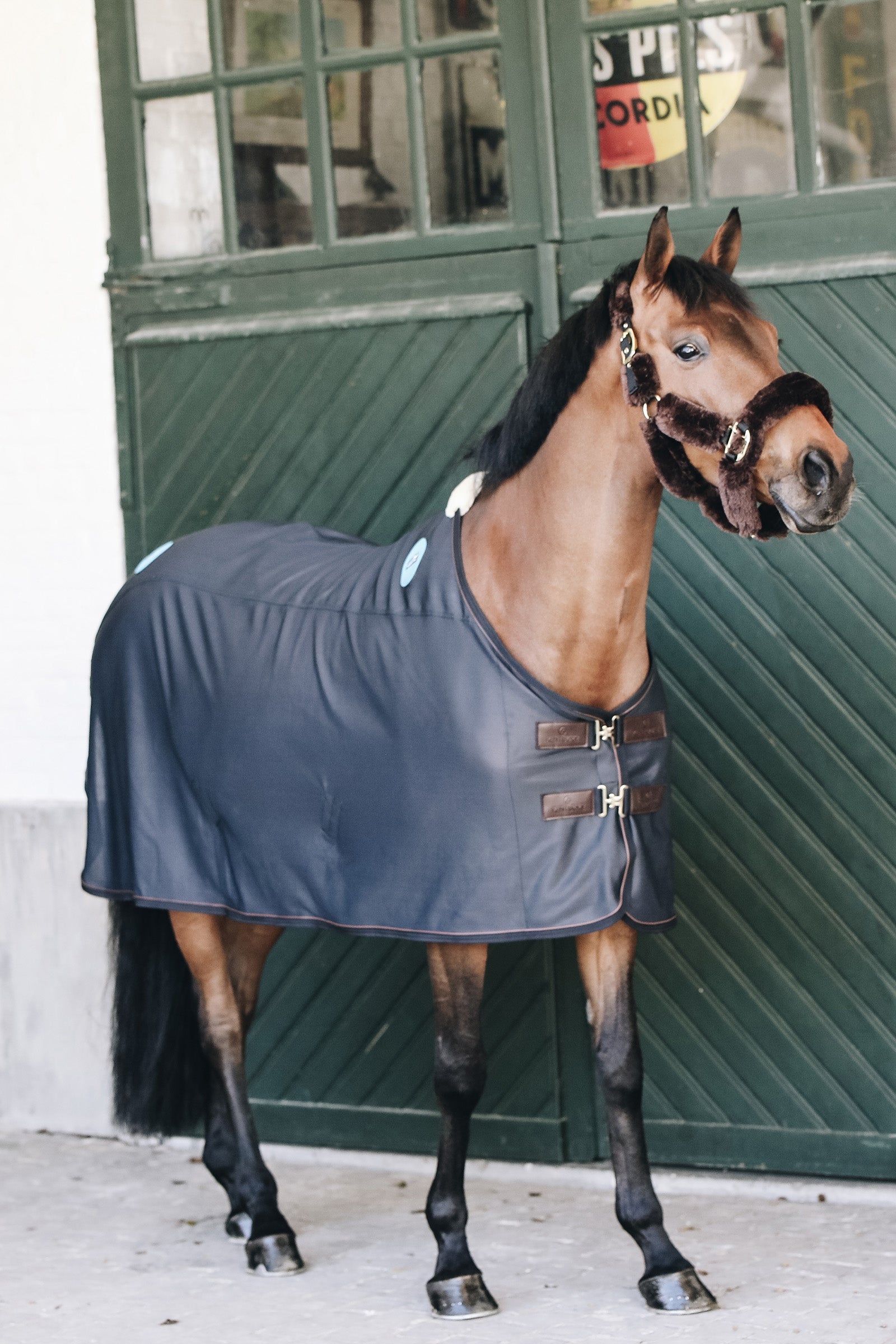 Kentucky Horsewear Magnetic Recuptex -loimi Loimet