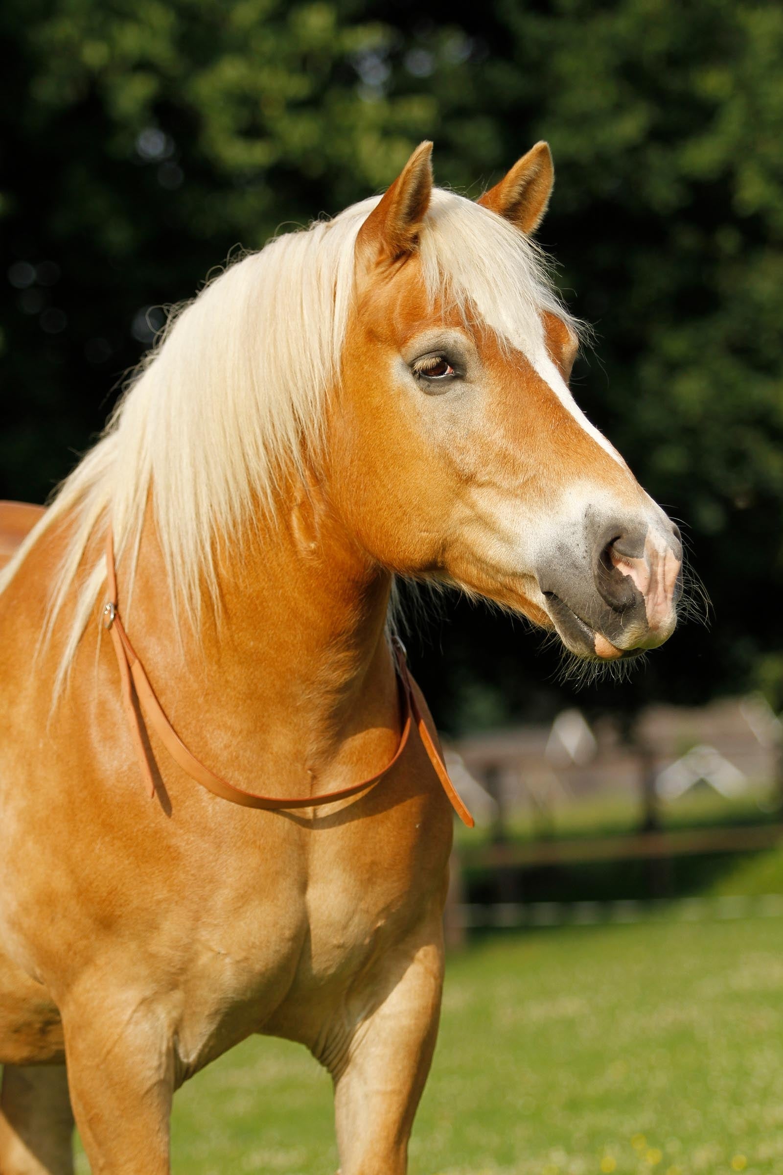 Lifestyle shot 1