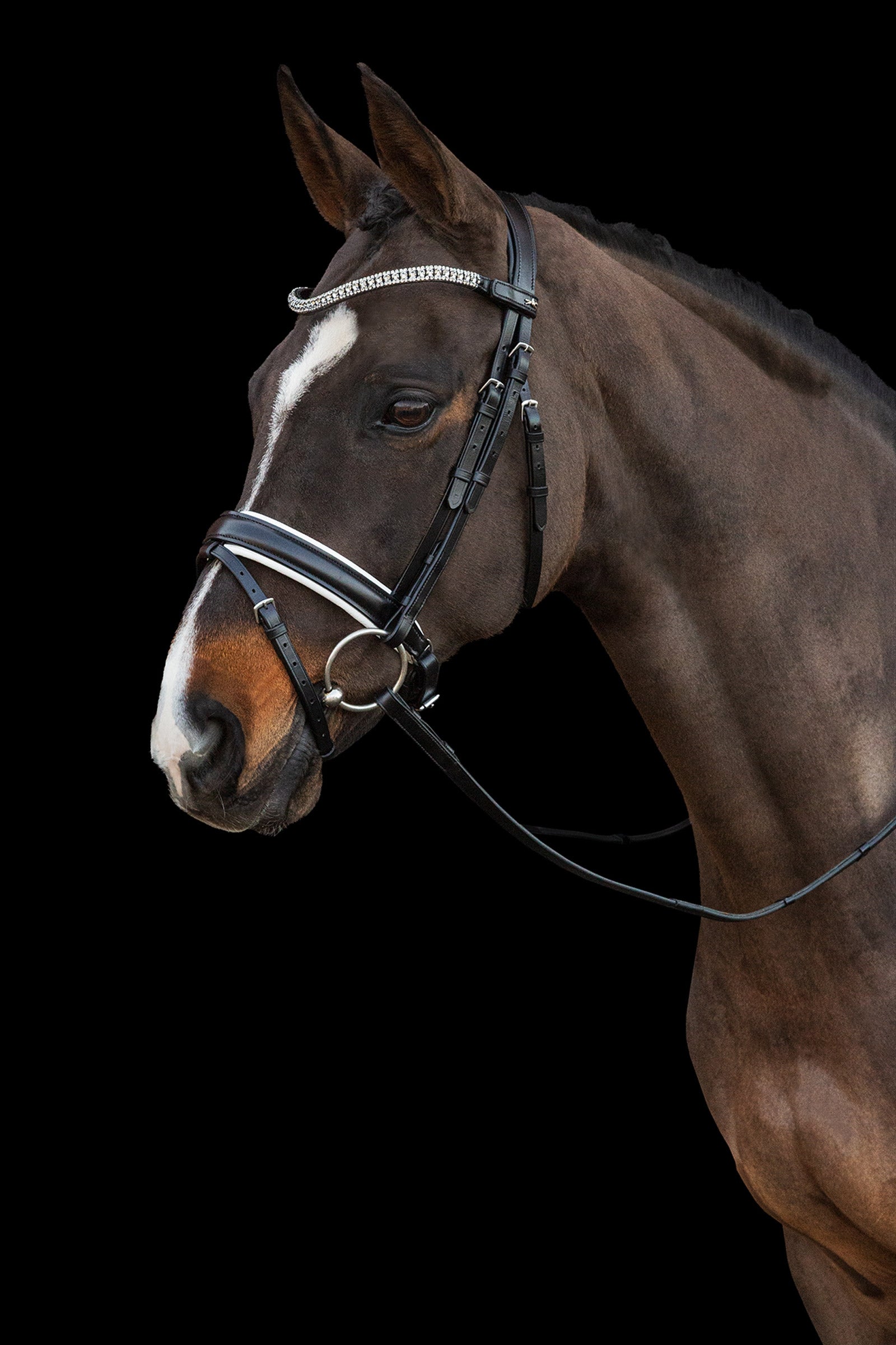 Schockemöhle Sports Malaga Bridle Bridles & Reins