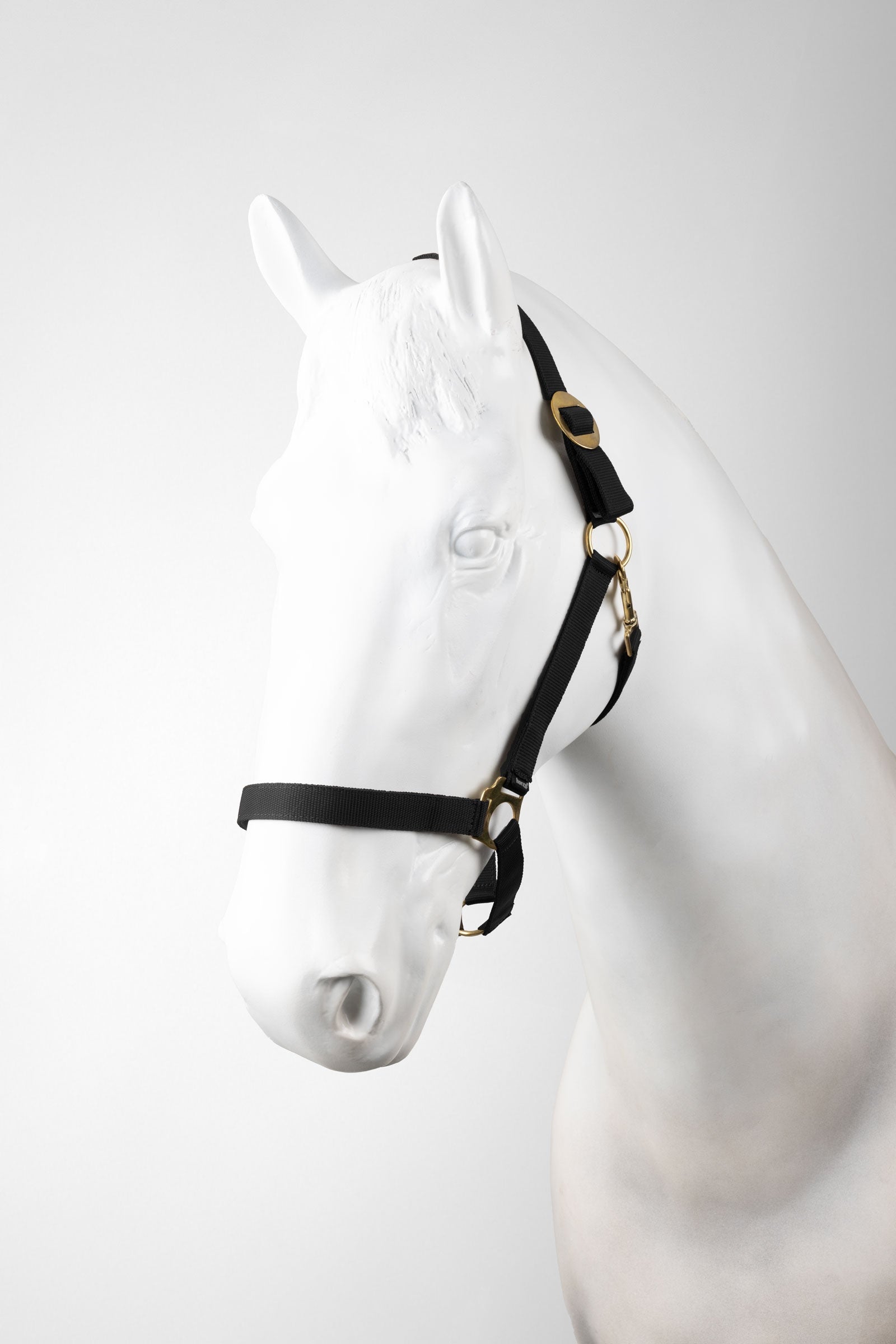 Horze Exeter Halter Set (3 pcs) Halters & Leads