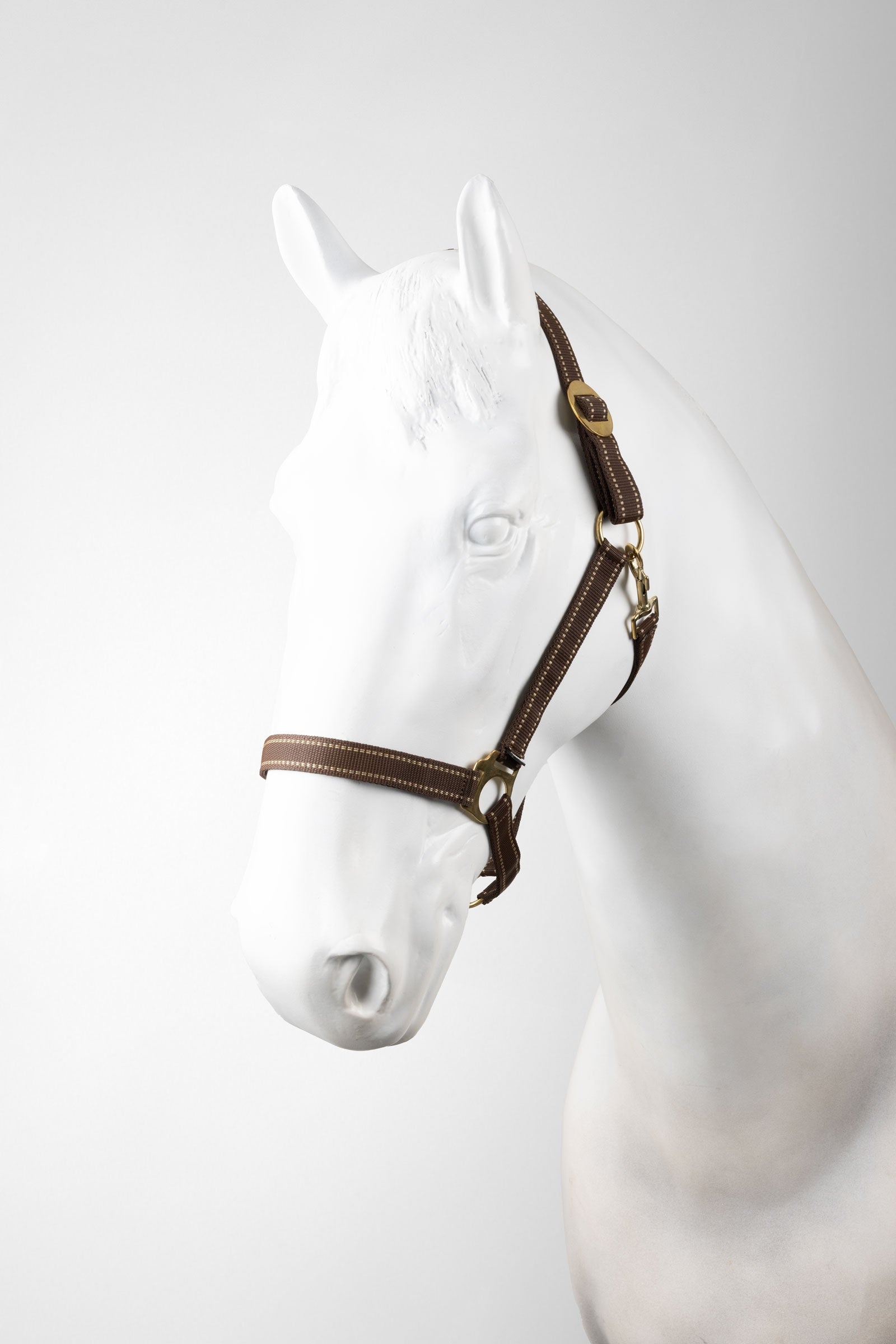 Horze Exeter Halter Set (3 pcs) Halters & Leads