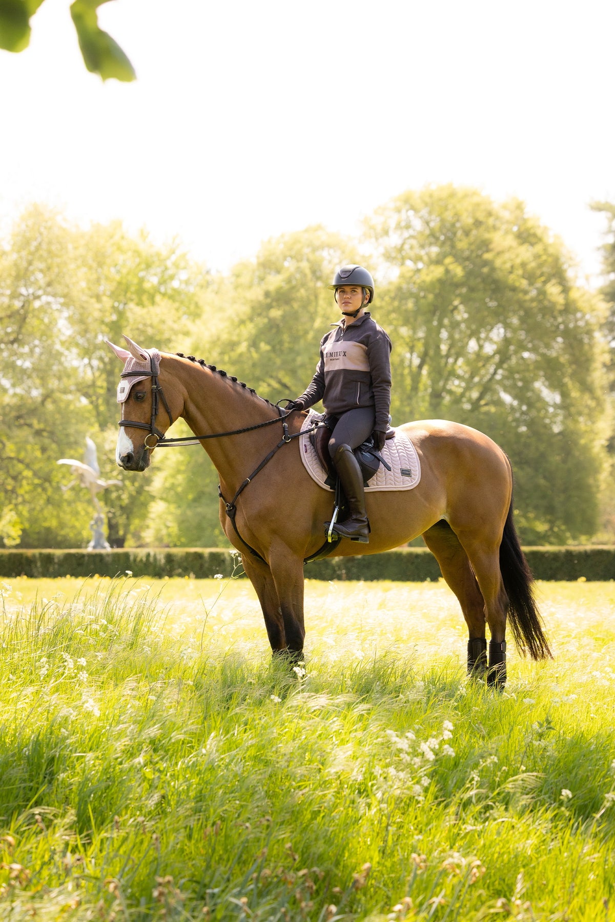 LeMieux Heritage Women´s Quarter Zip Sweatshirt Women’s Riding Clothing