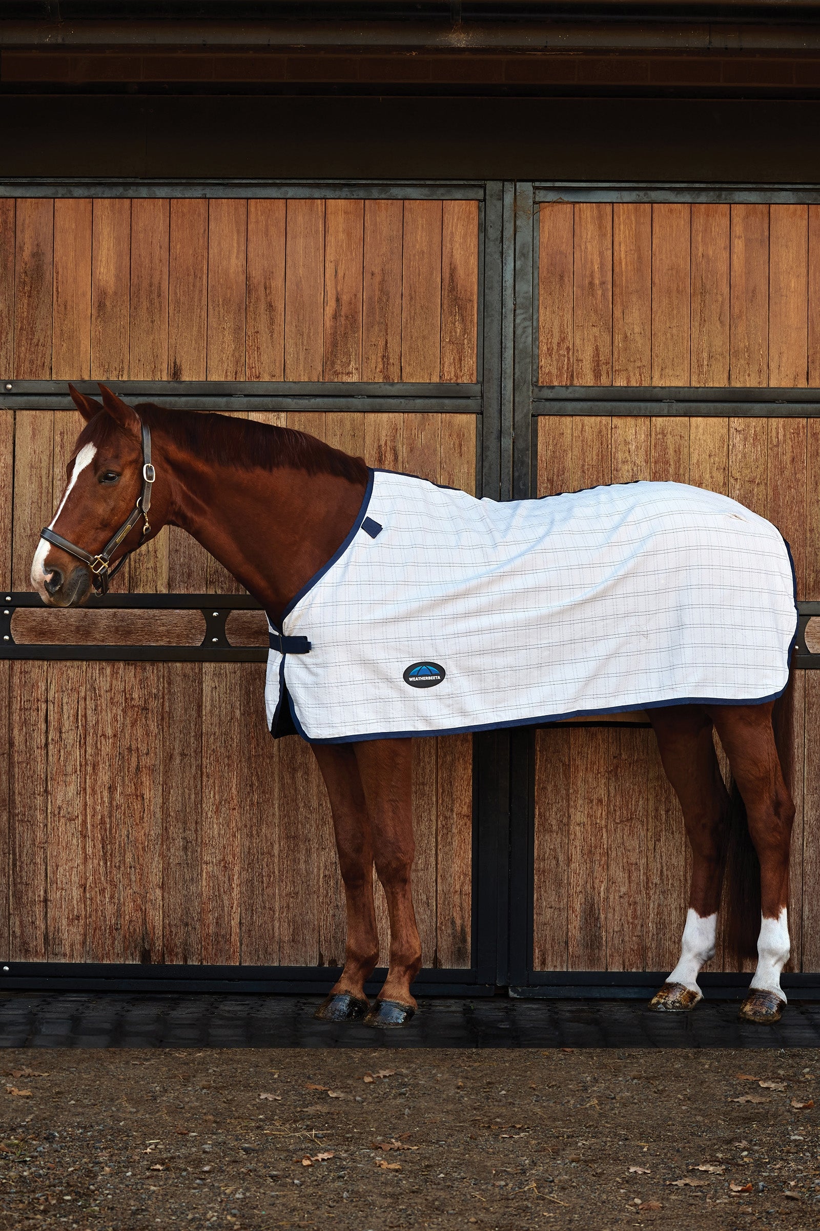 Weatherbeeta ComFiTec Cotton-Liner Loimet