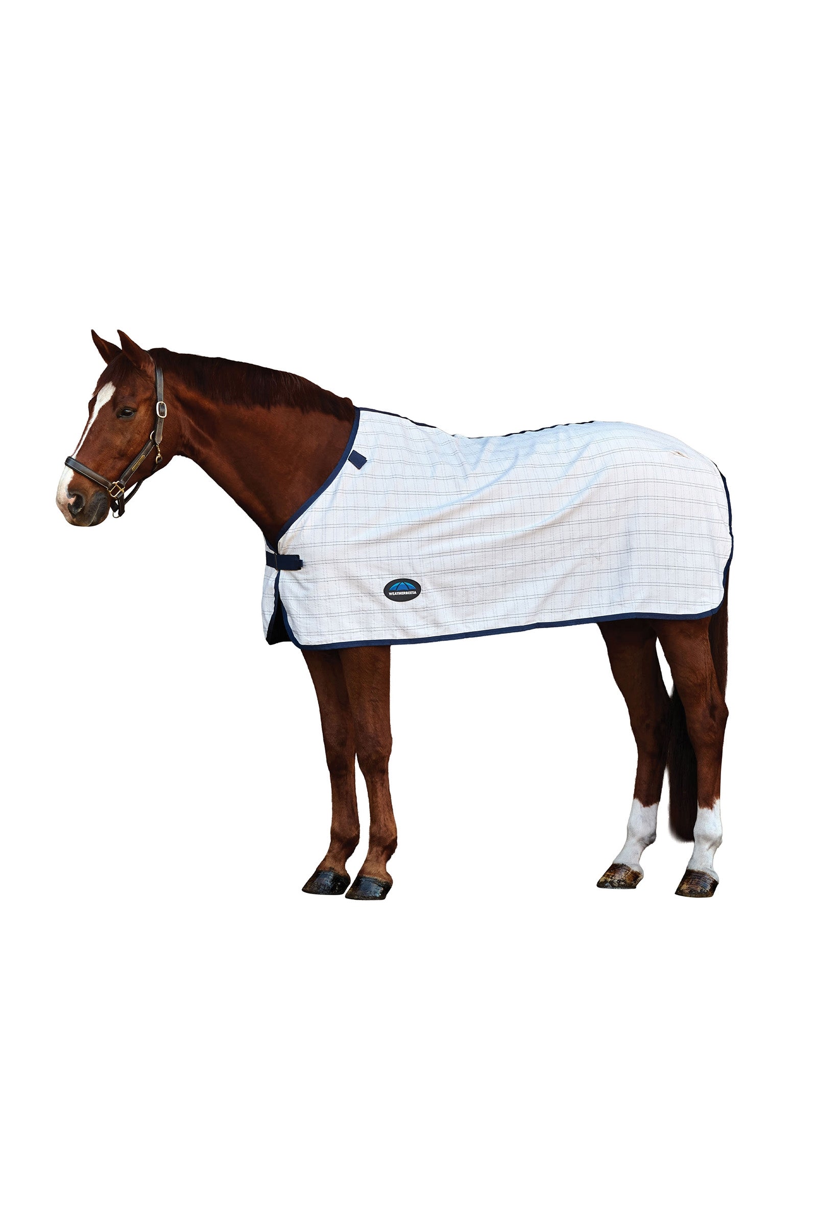 Weatherbeeta ComFiTec Cotton-Liner Horse Rugs