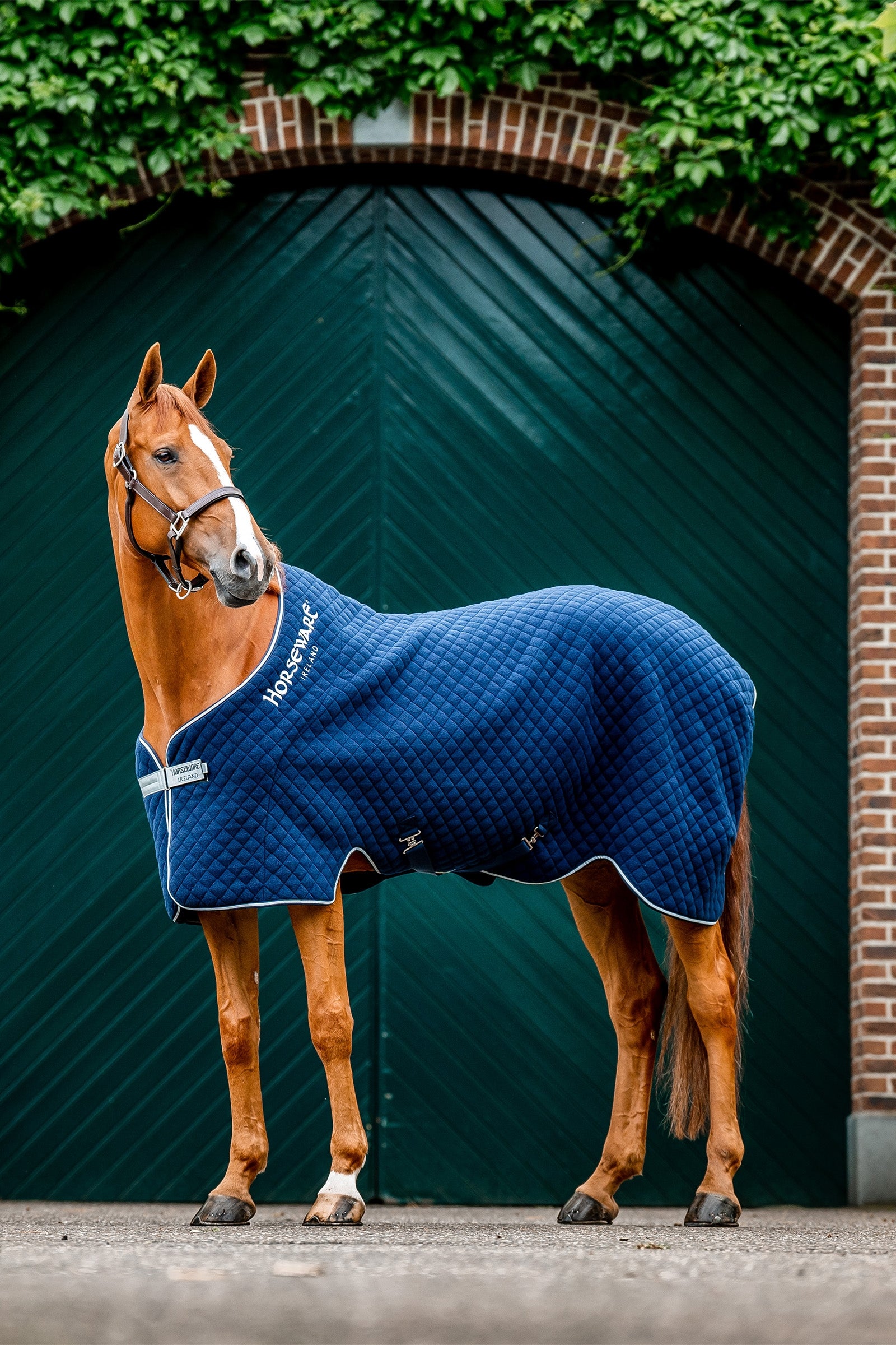 Horseware Horsewear Autumn kuivatusloimi Loimet