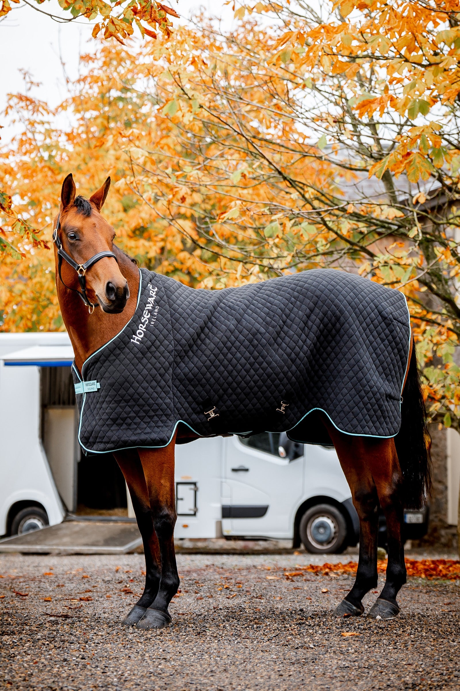 Horseware Horsewear Autumn kuivatusloimi Loimet