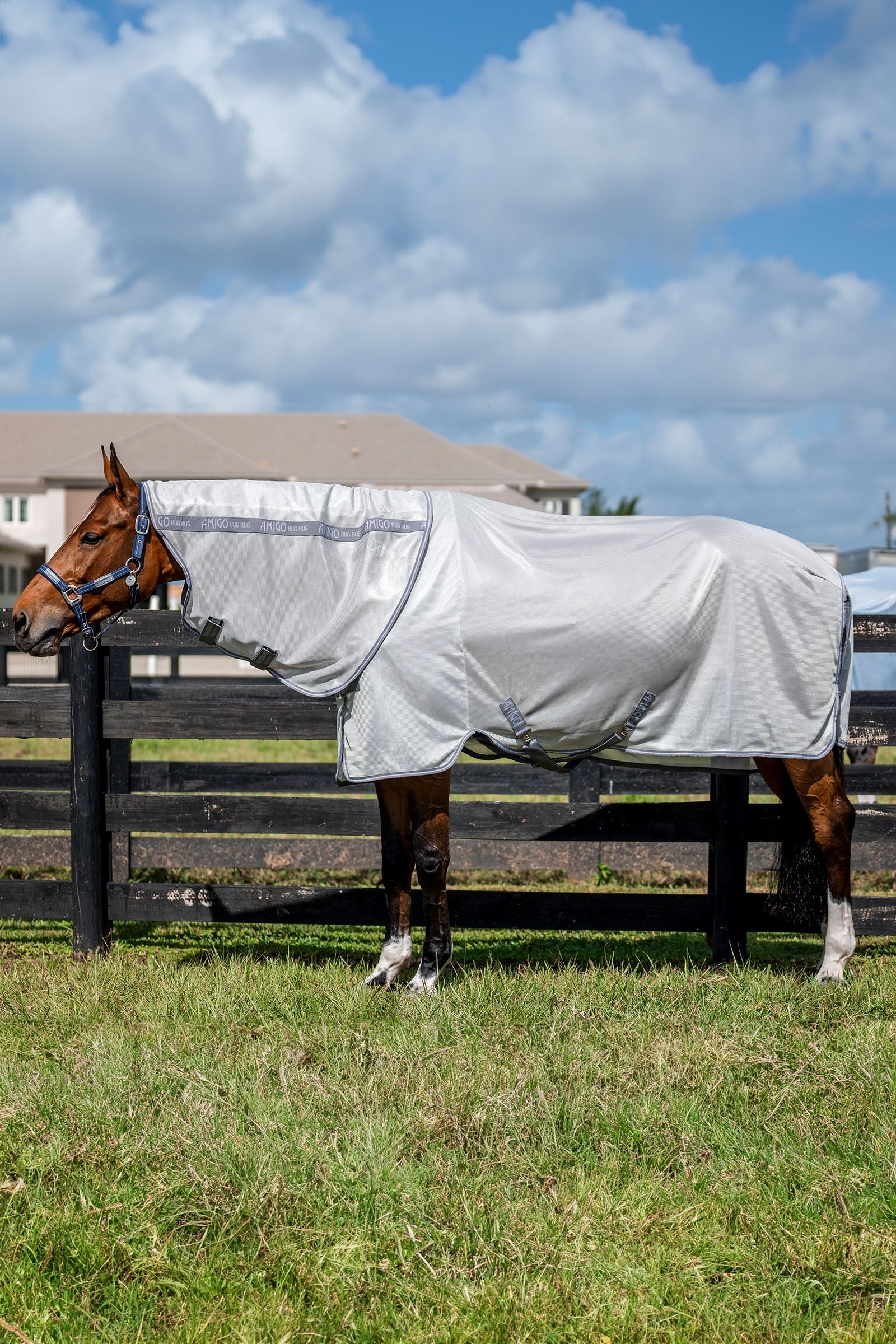 Horseware Amigo Bug Rug Plus Horse Rugs