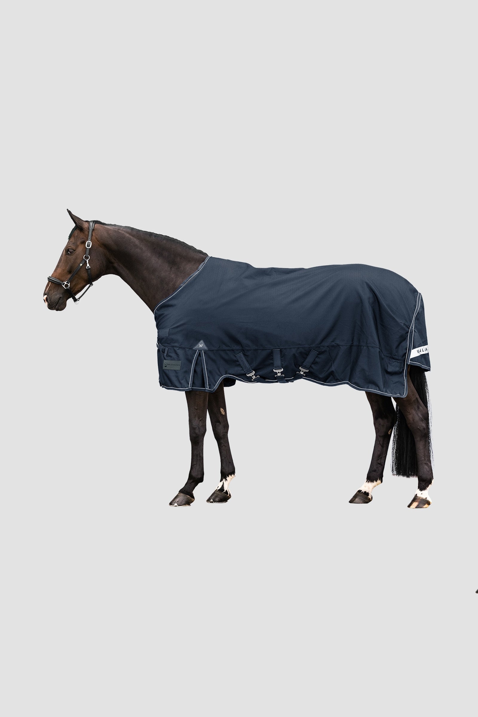 Waldhausen Outdoor Rug Scandic 300 g Loimet